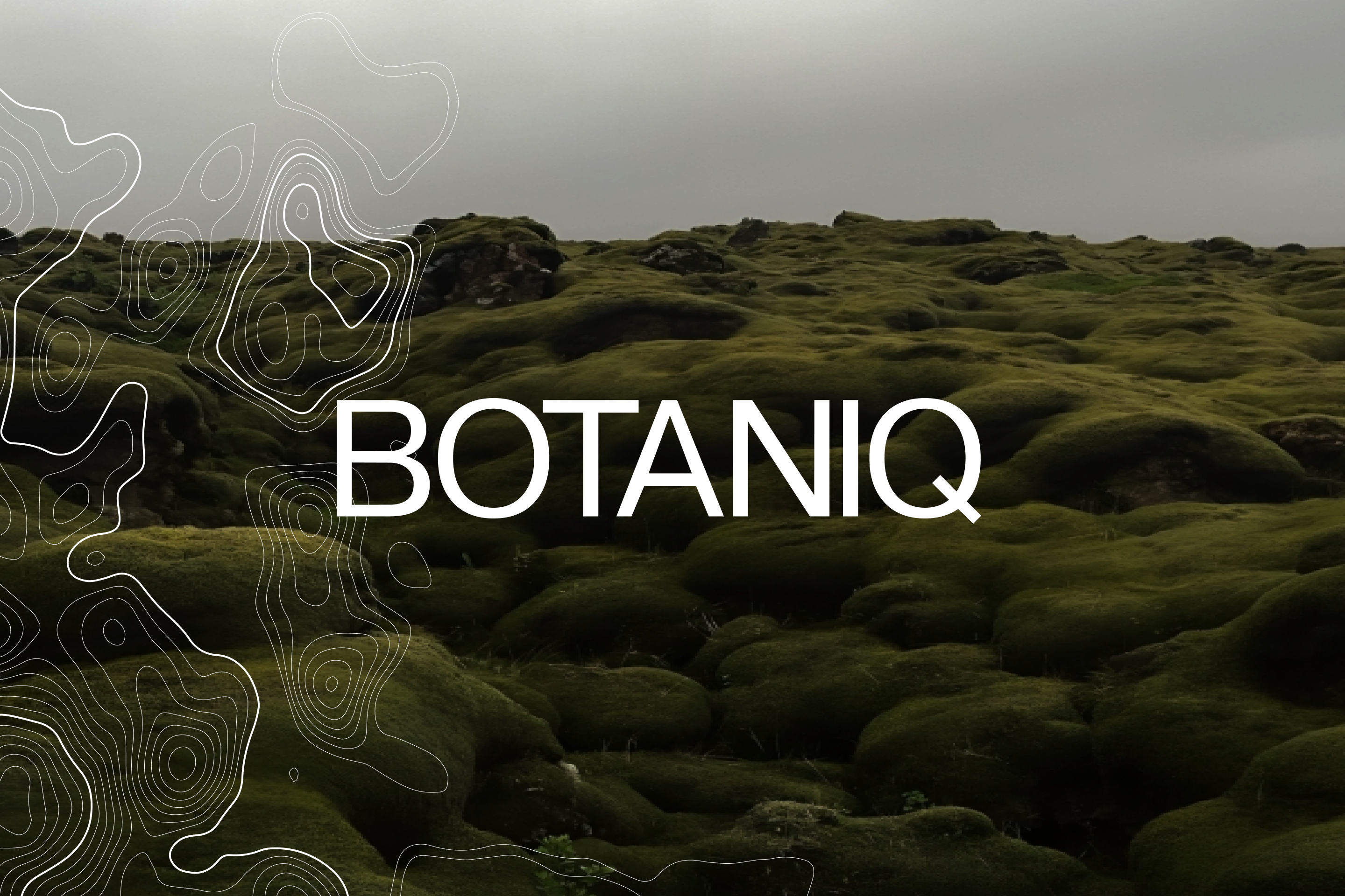 COSMETIC BRAND IDENTITY | BOTAN(IQ) — Изображение №1 — Брендинг, Графика на Dprofile