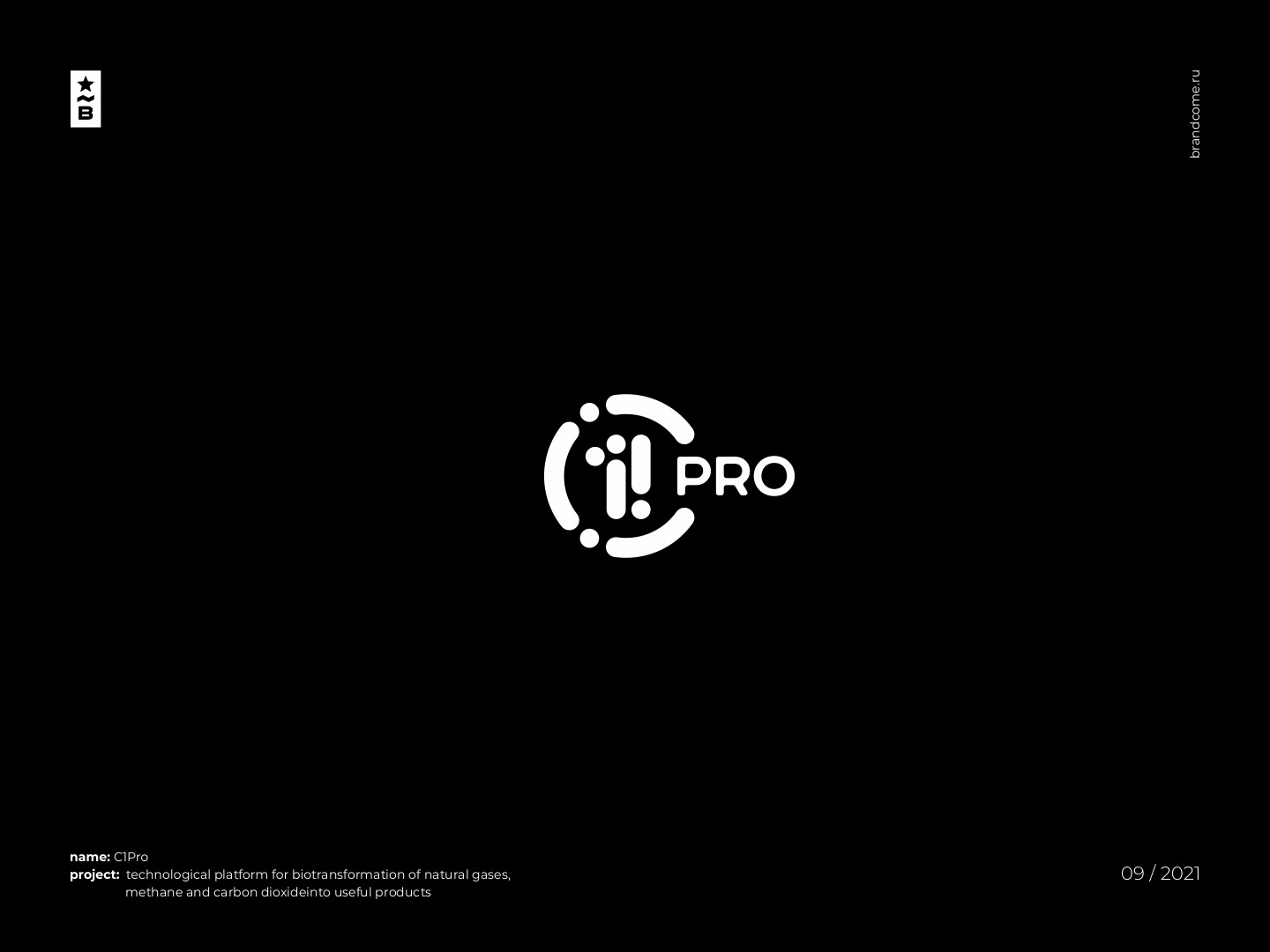 Brandcome / Logos & Marks VOL. 2 — Изображение №9 — Брендинг на Dprofile