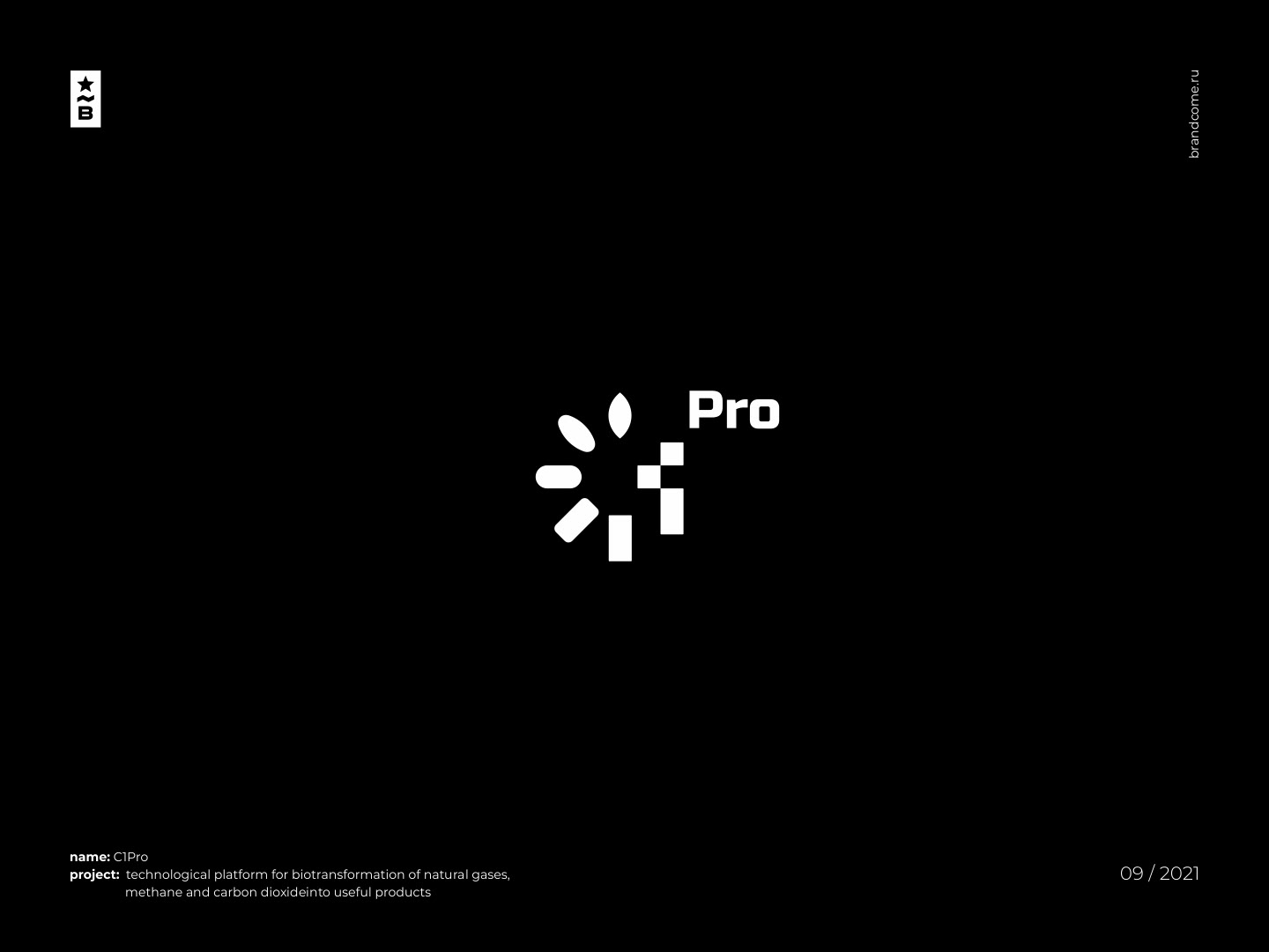 Brandcome / Logos & Marks VOL. 2 — Изображение №4 — Брендинг на Dprofile