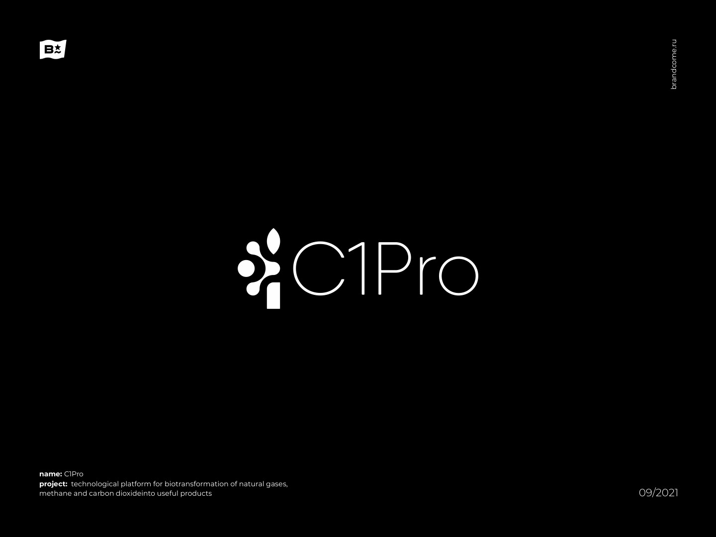 Brandcome / Logos & Marks — Изображение №21 — Брендинг на Dprofile
