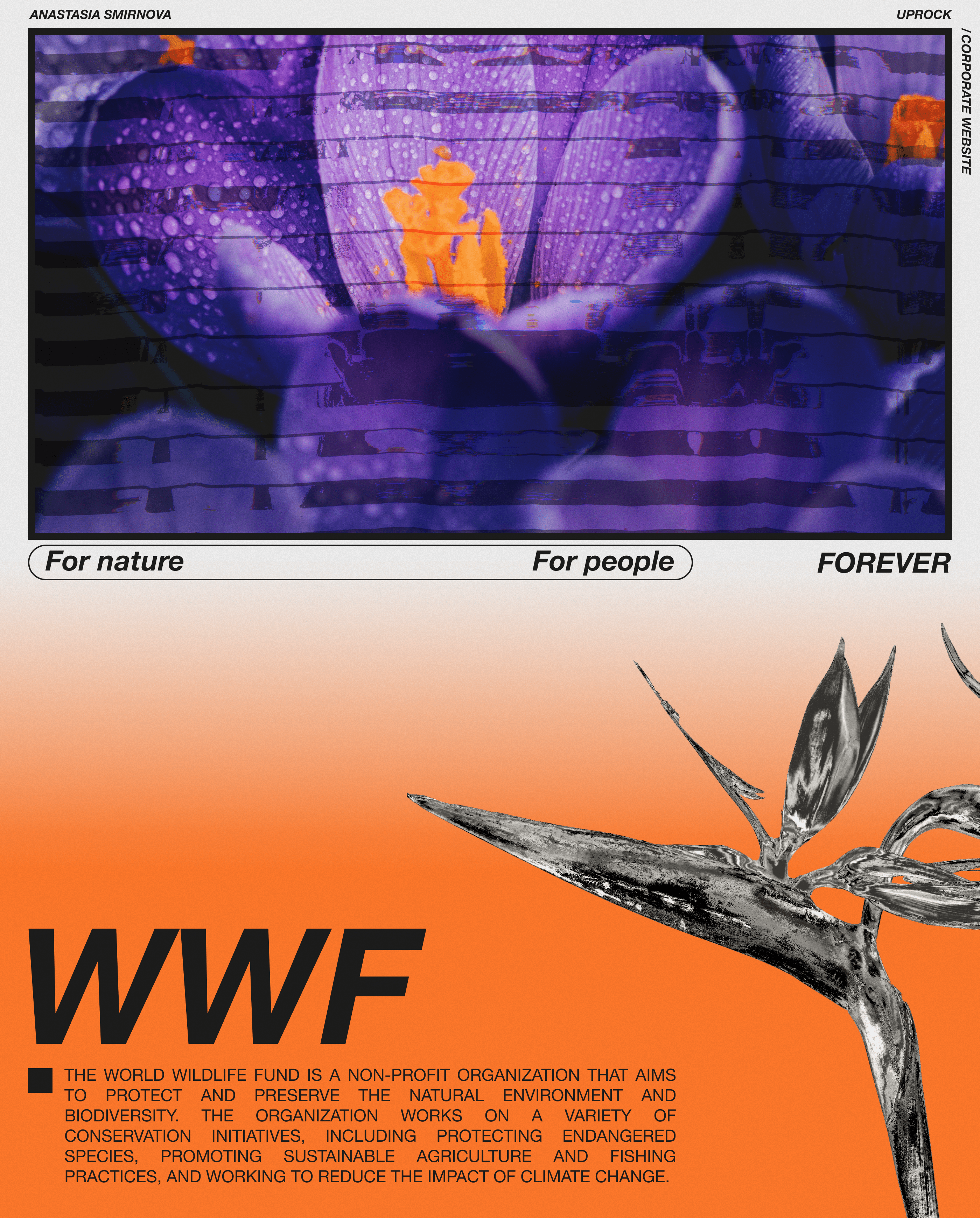 WWF | Corporate website — Изображение №1 — Интерфейсы на Dprofile