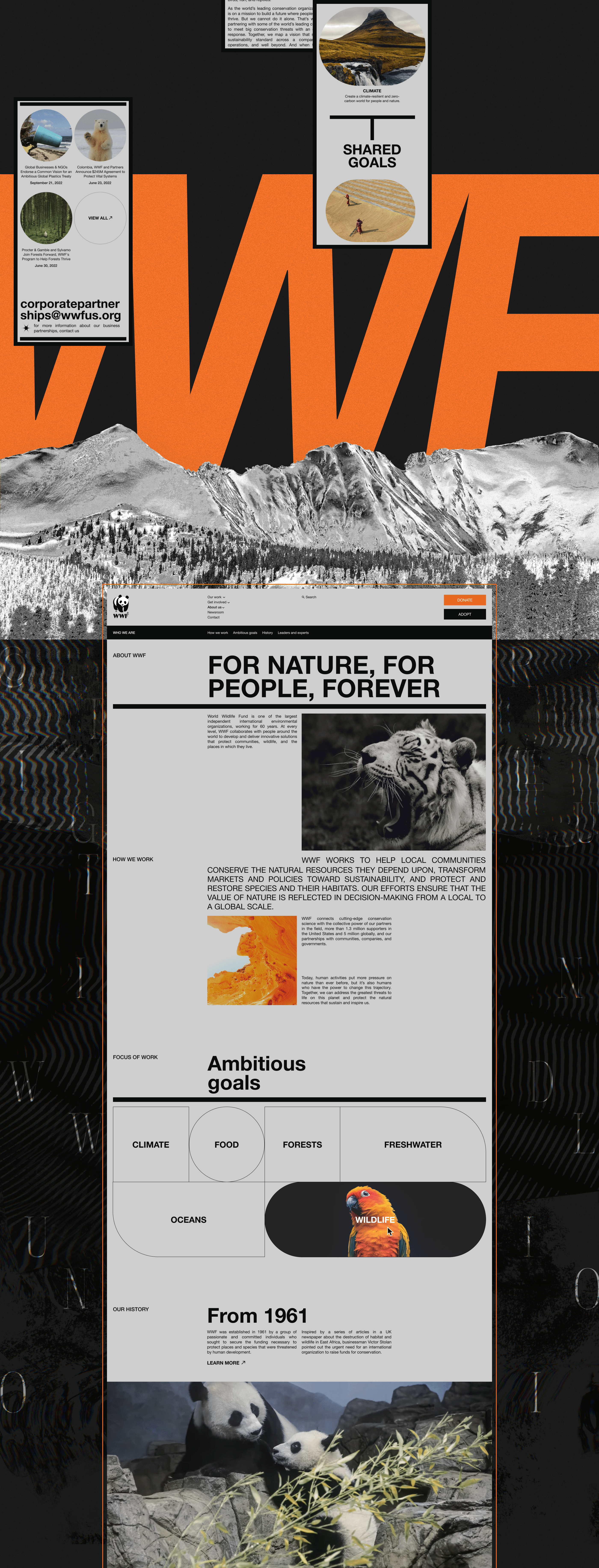 WWF | Corporate website — Изображение №5 — Интерфейсы на Dprofile