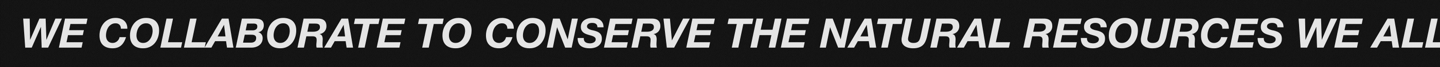 WWF | Corporate website — Изображение №8 — Интерфейсы на Dprofile