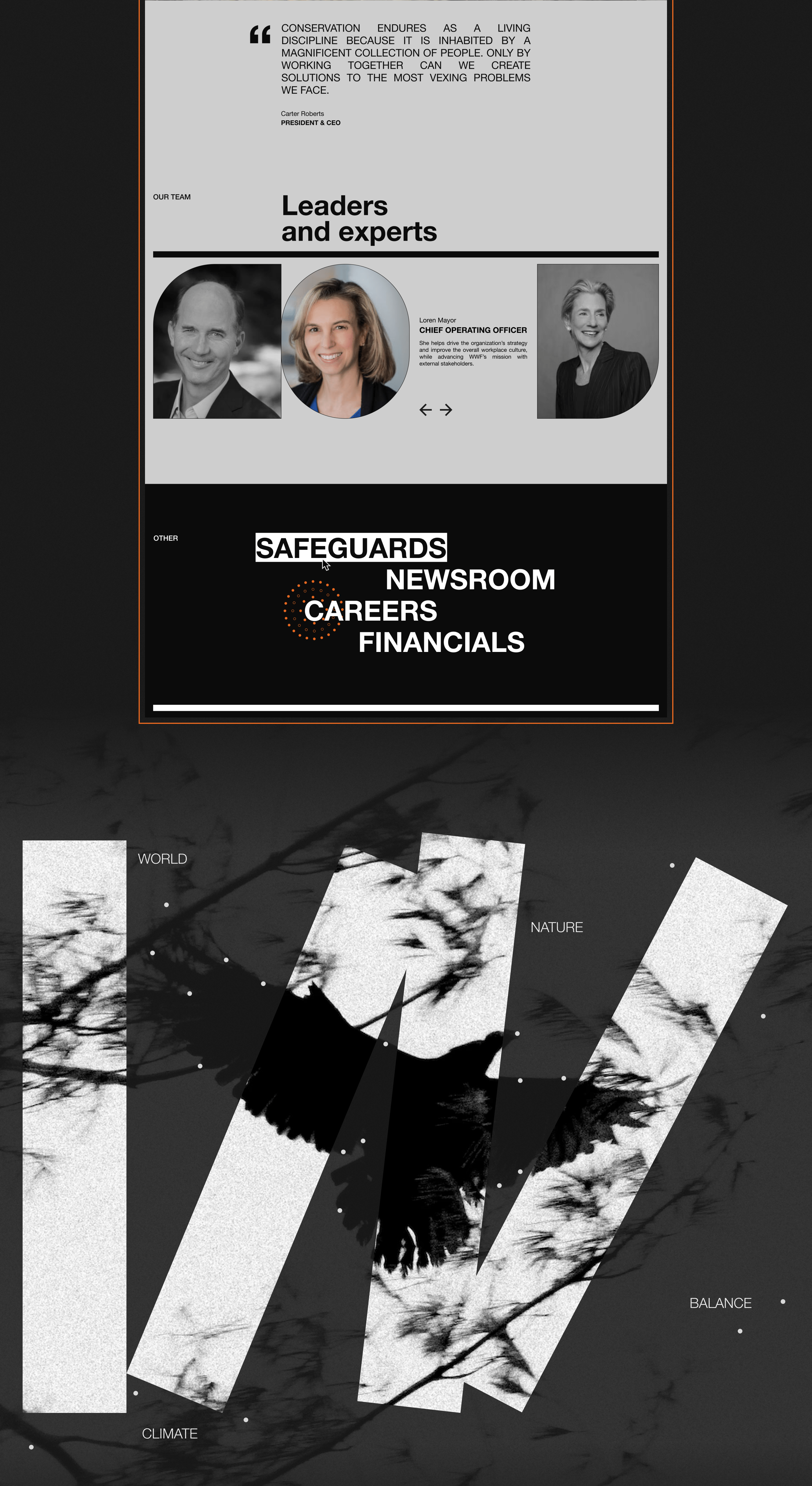 WWF | Corporate website — Изображение №6 — Интерфейсы на Dprofile