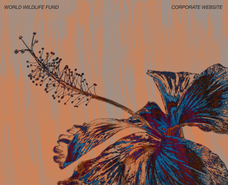 WWF | Corporate website — Интерфейсы на Dprofile