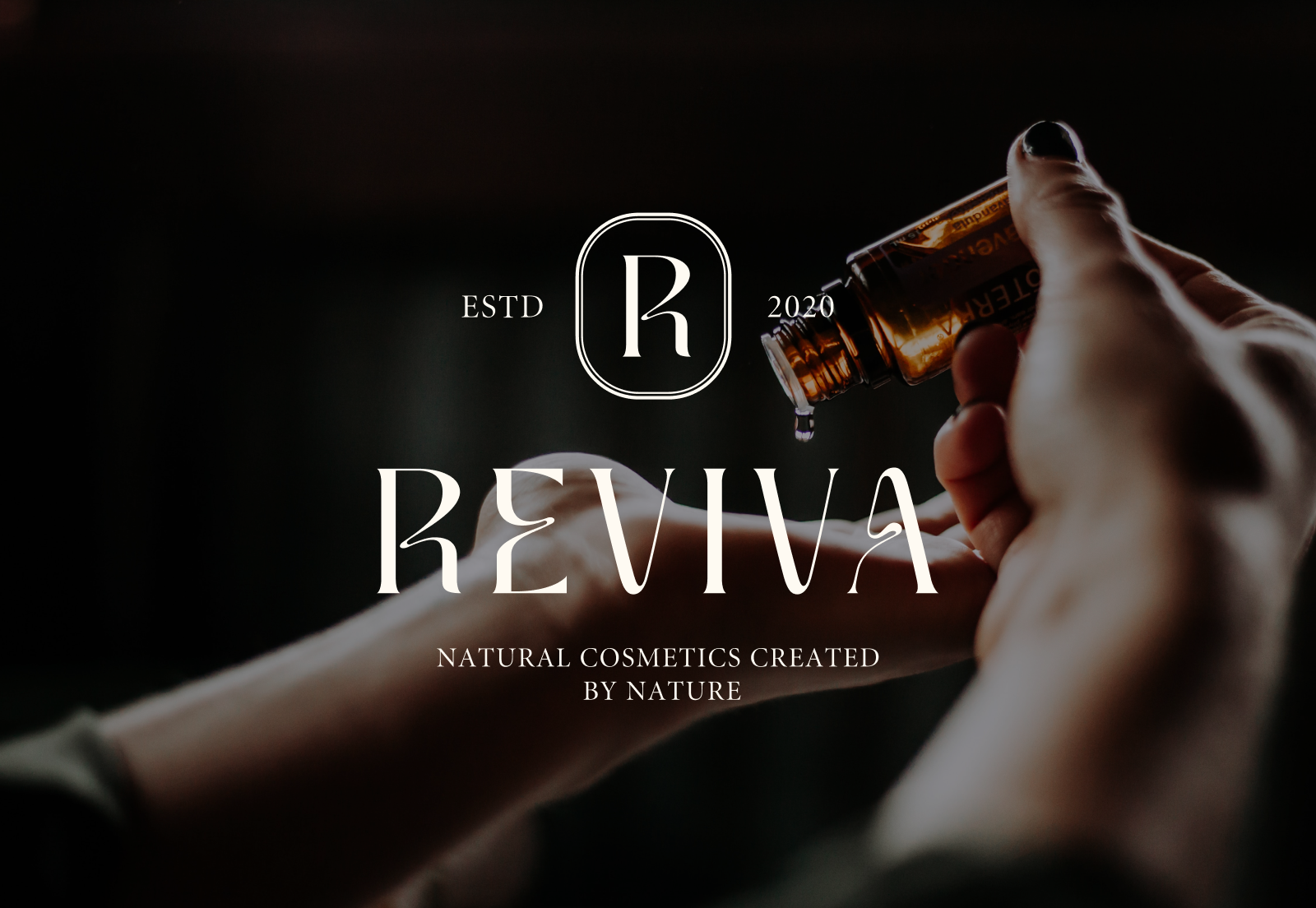 REVIVA — Brand Identity — Изображение №1 — Брендинг на Dprofile
