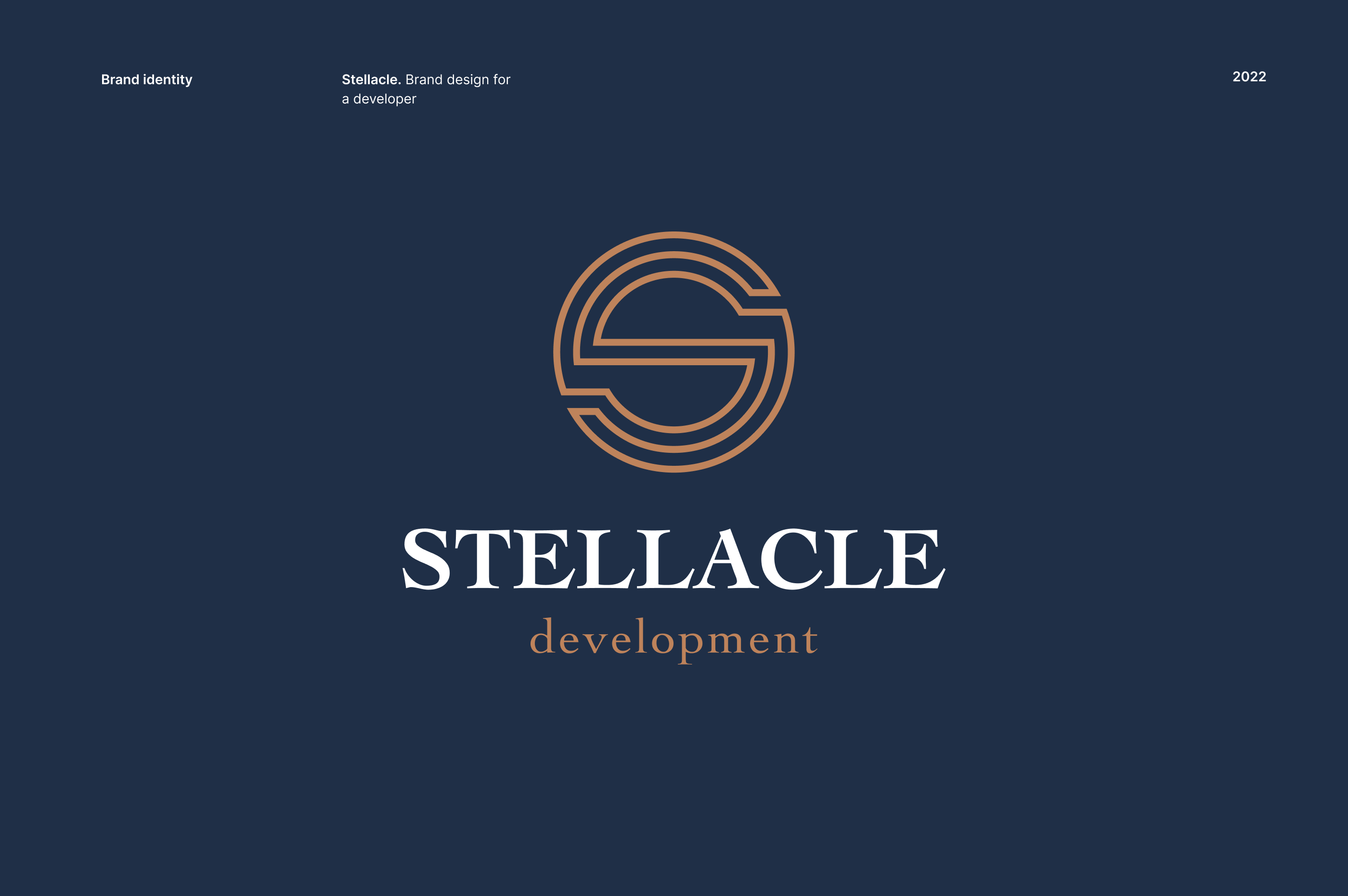 STELLACLE — Brand Identity — Изображение №1 — Брендинг на Dprofile
