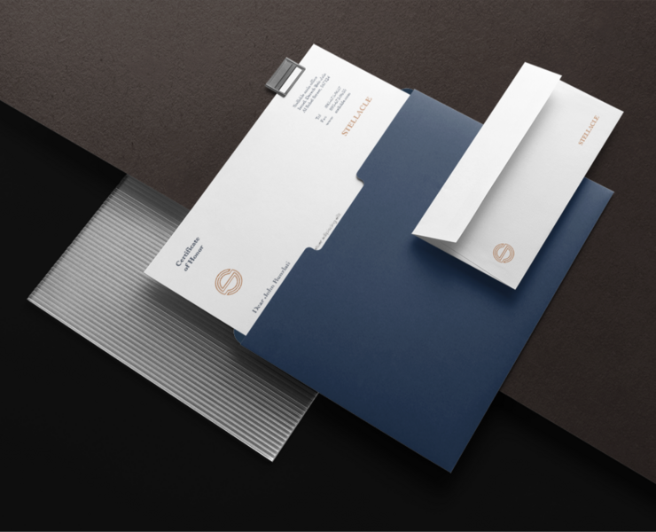 STELLACLE — Brand Identity на Dprofile