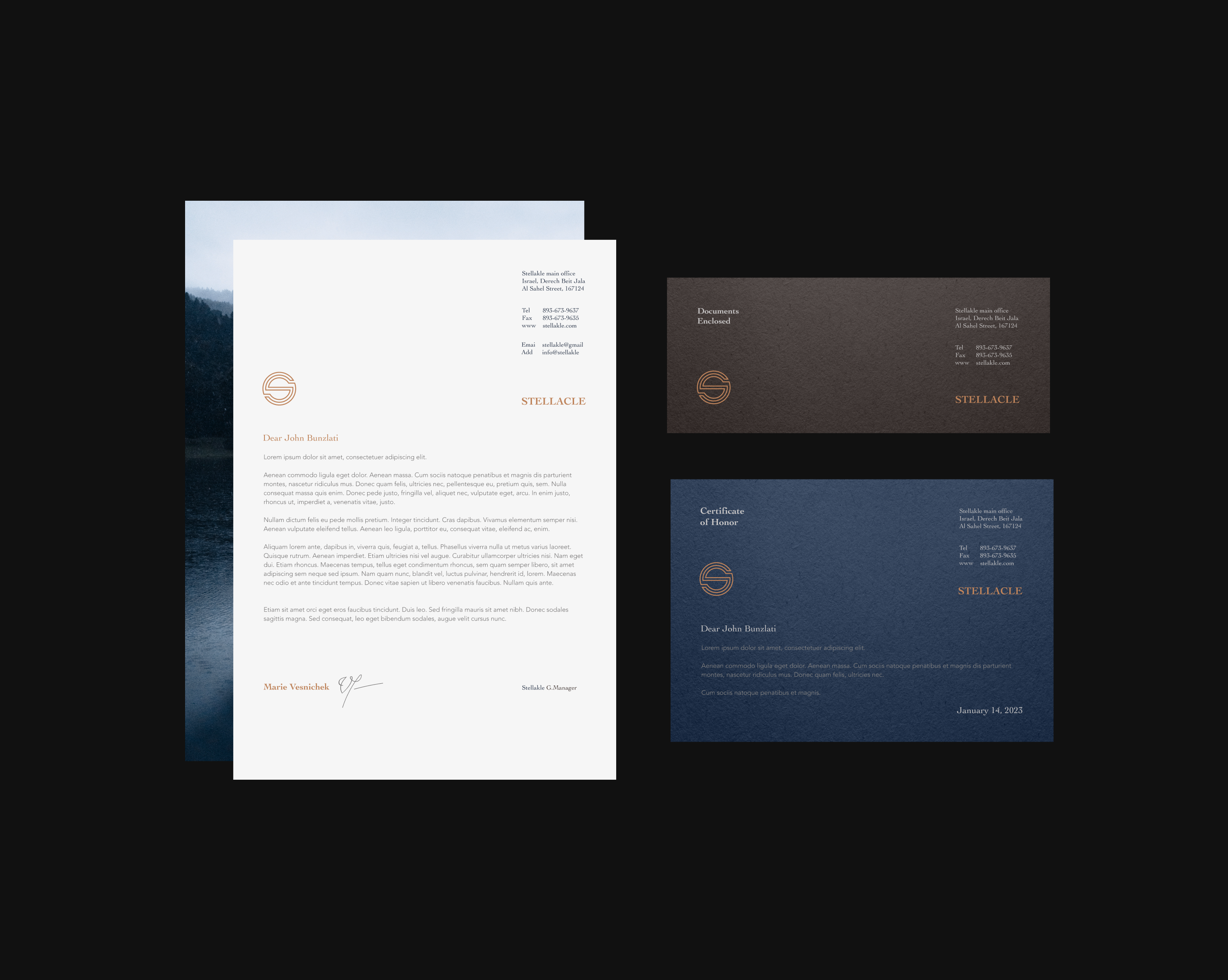 STELLACLE — Brand Identity — Изображение №6 — Брендинг на Dprofile