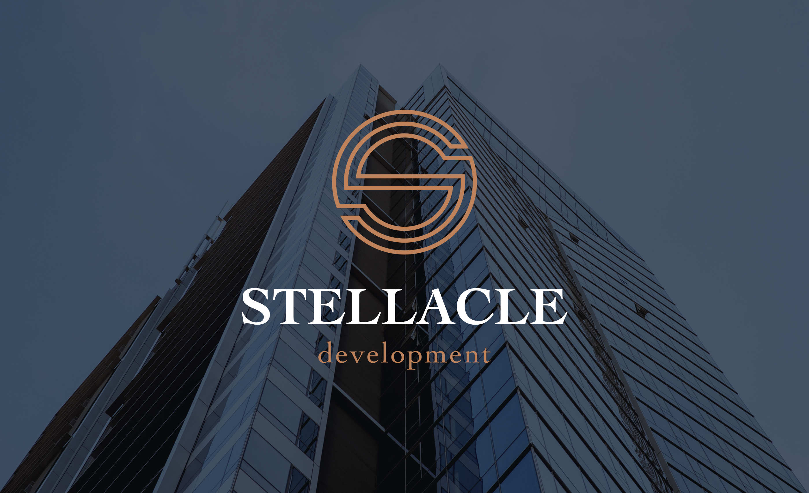 STELLACLE — Brand Identity — Изображение №4 — Брендинг на Dprofile