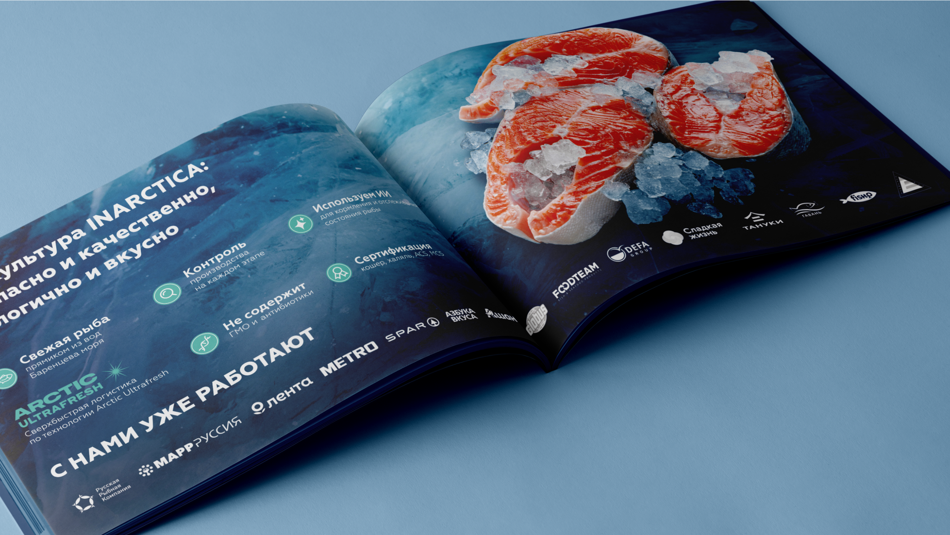 INARCTICA. Буклет о компании — Изображение №7 — Графика на Dprofile