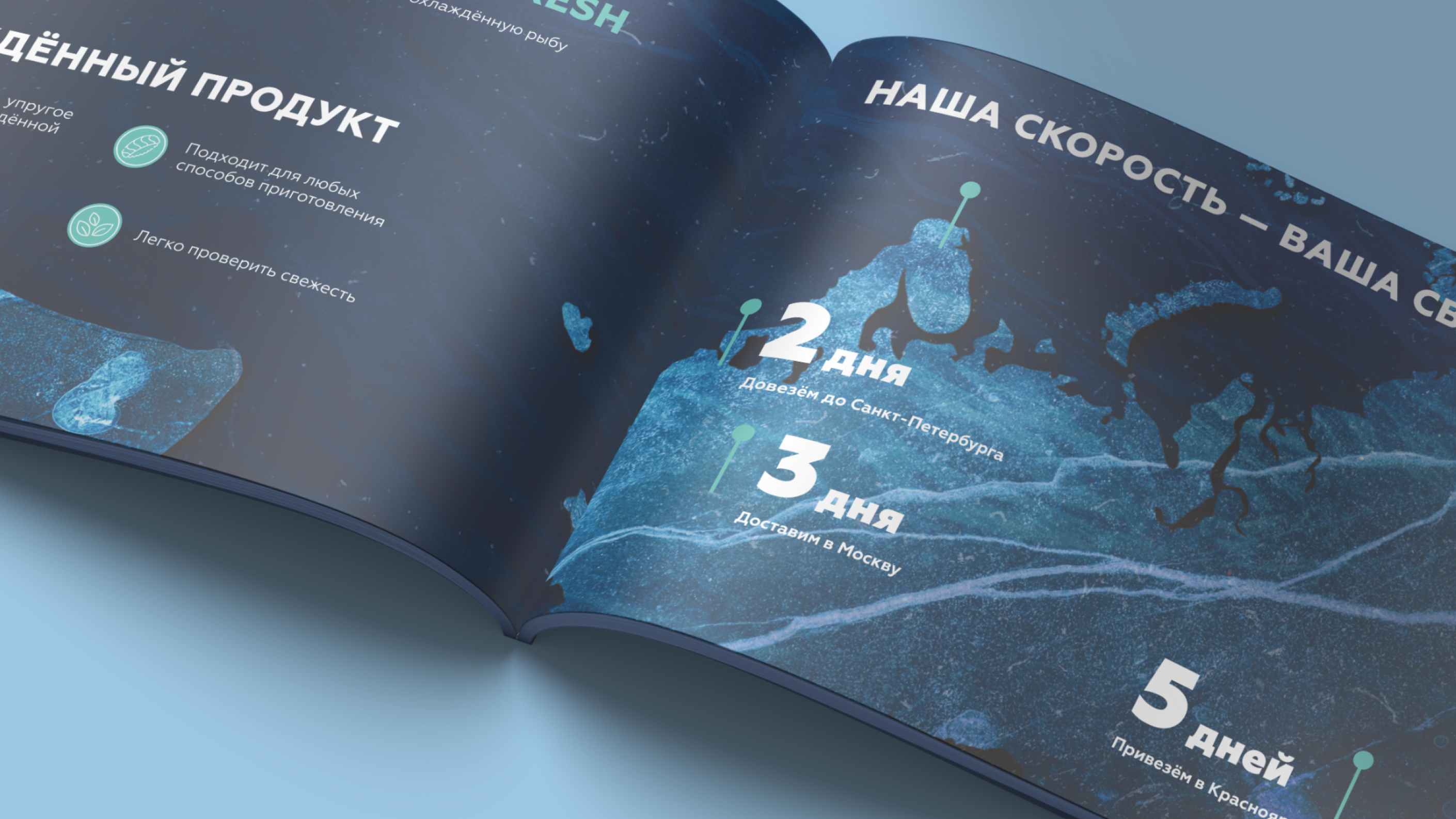 INARCTICA. Буклет о компании — Изображение №2 — Графика на Dprofile
