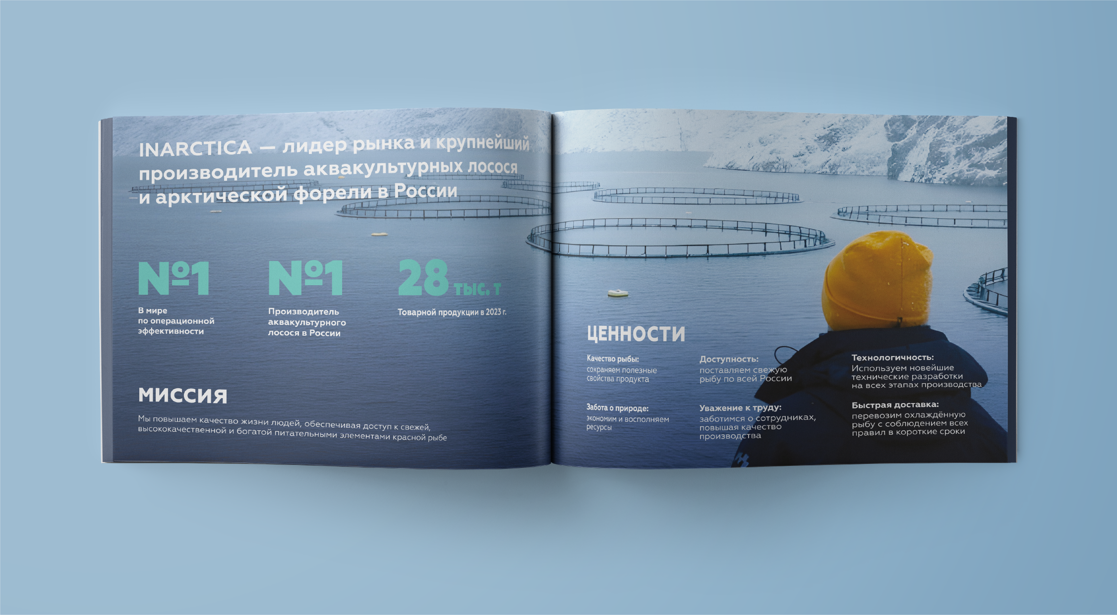 INARCTICA. Буклет о компании — Изображение №4 — Графика на Dprofile