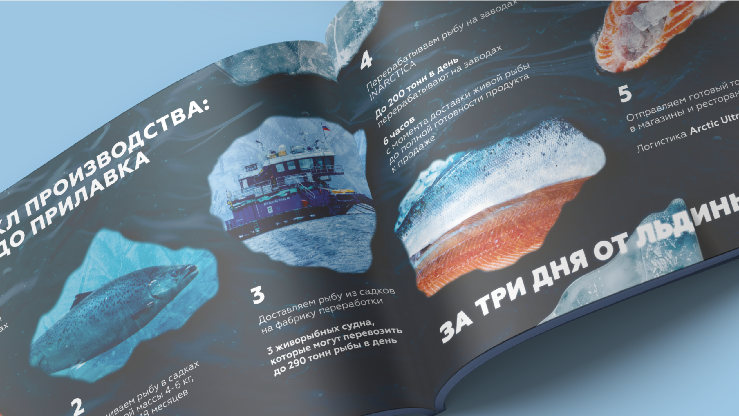INARCTICA. Буклет о компании — Изображение №5 — Графика на Dprofile