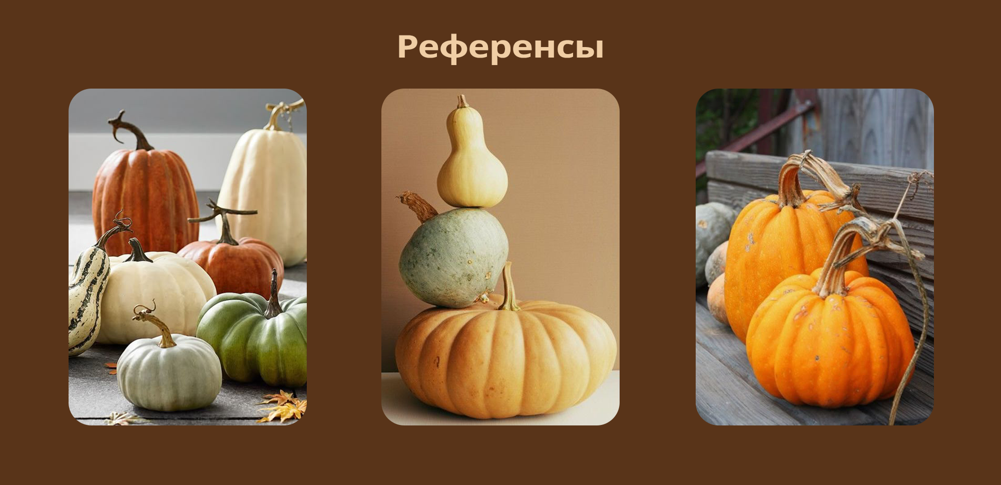Бренд персонаж Памкин для кофейни — Изображение №2 — Брендинг, Иллюстрация на Dprofile