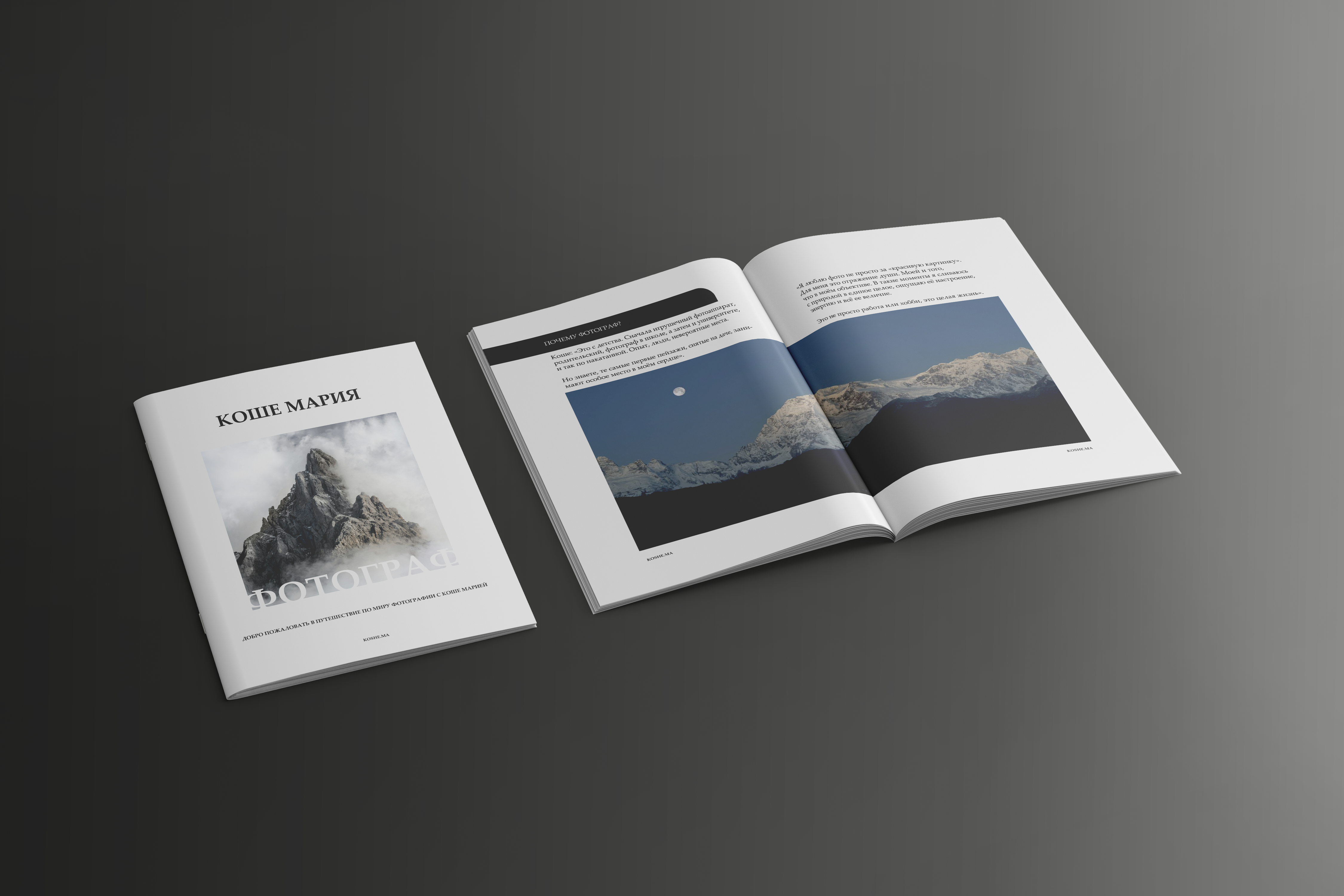 Каталог фотографа/The photographer's catalog — Изображение №2 — Брендинг, Графика на Dprofile