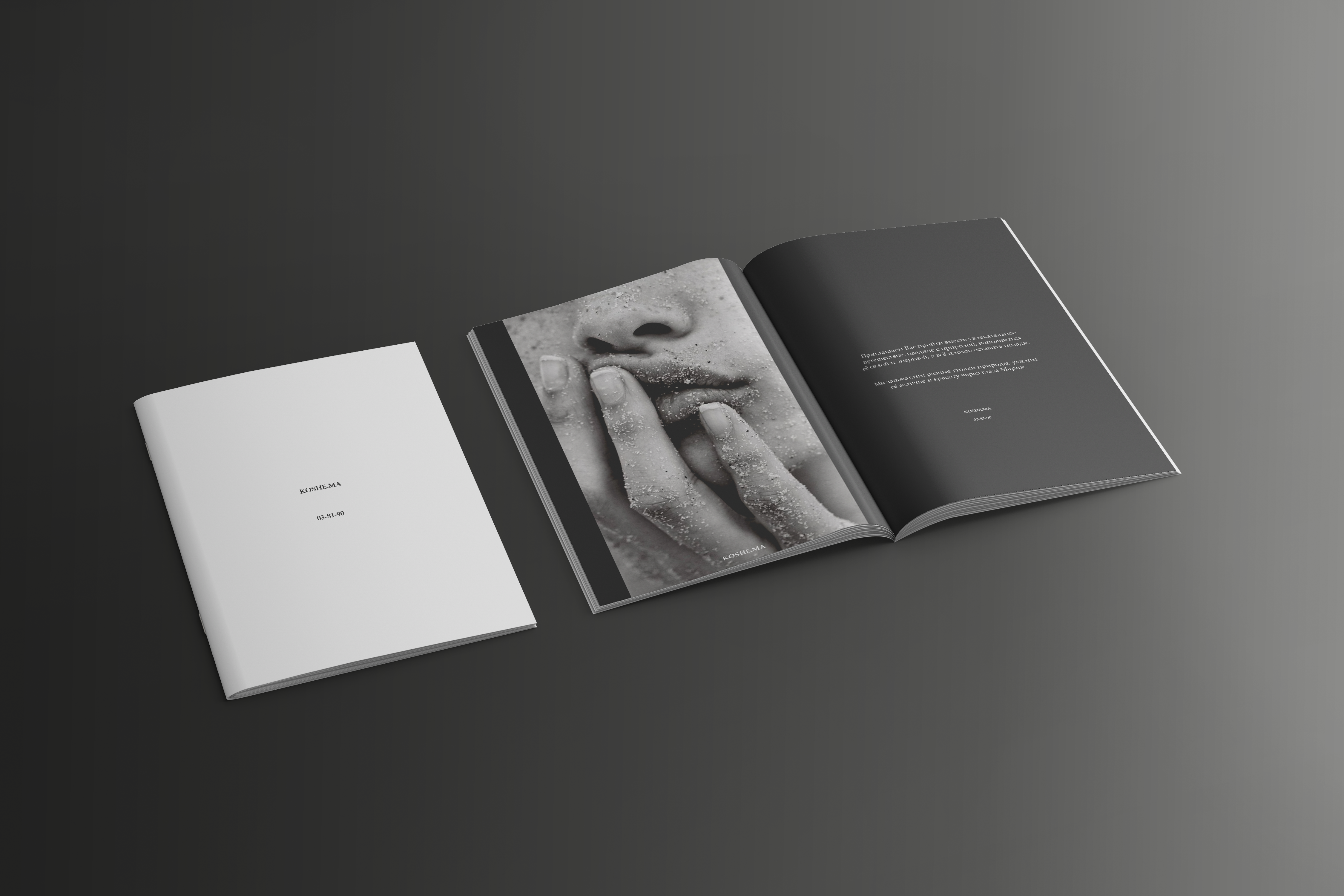 Каталог фотографа/The photographer's catalog — Изображение №5 — Брендинг, Графика на Dprofile