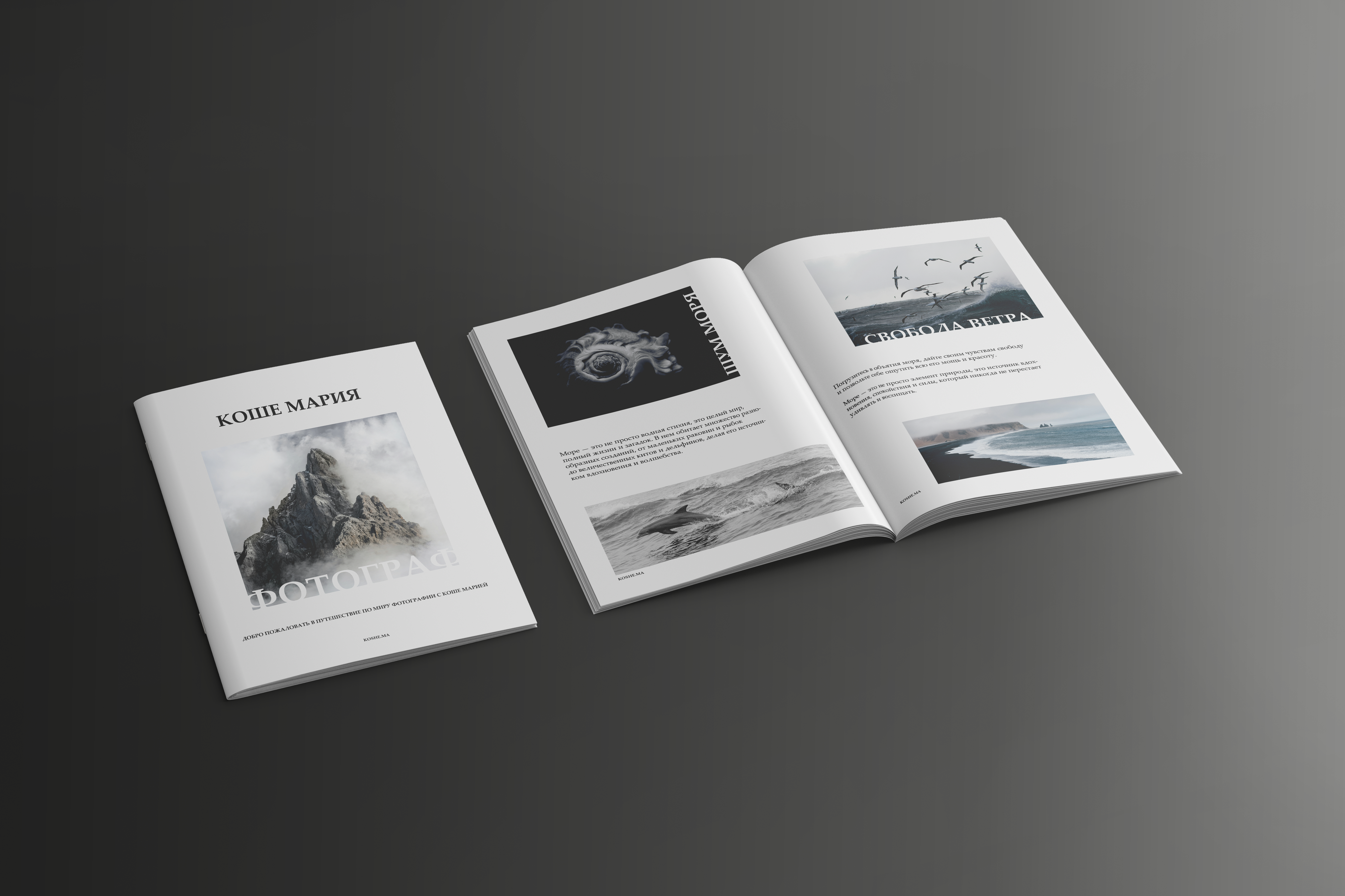 Каталог фотографа/The photographer's catalog — Изображение №4 — Брендинг, Графика на Dprofile