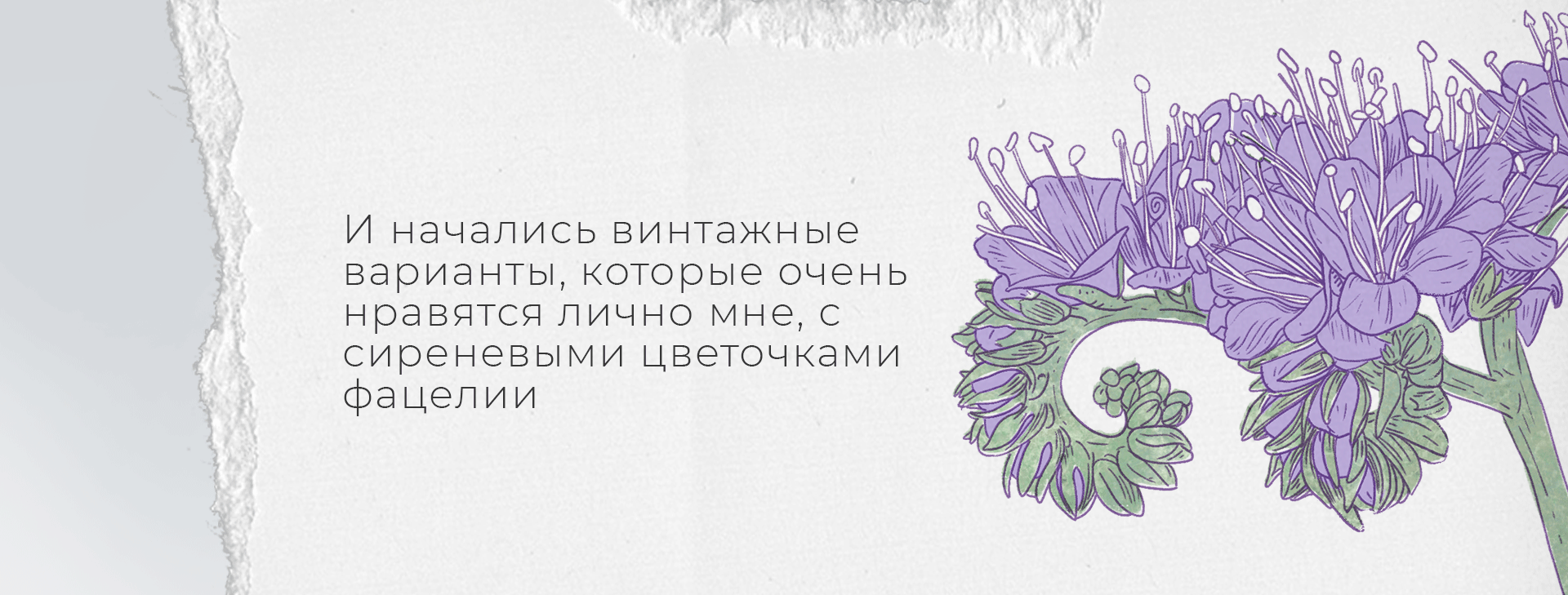 Создание этикетки — Изображение №14 — Брендинг, Иллюстрация на Dprofile