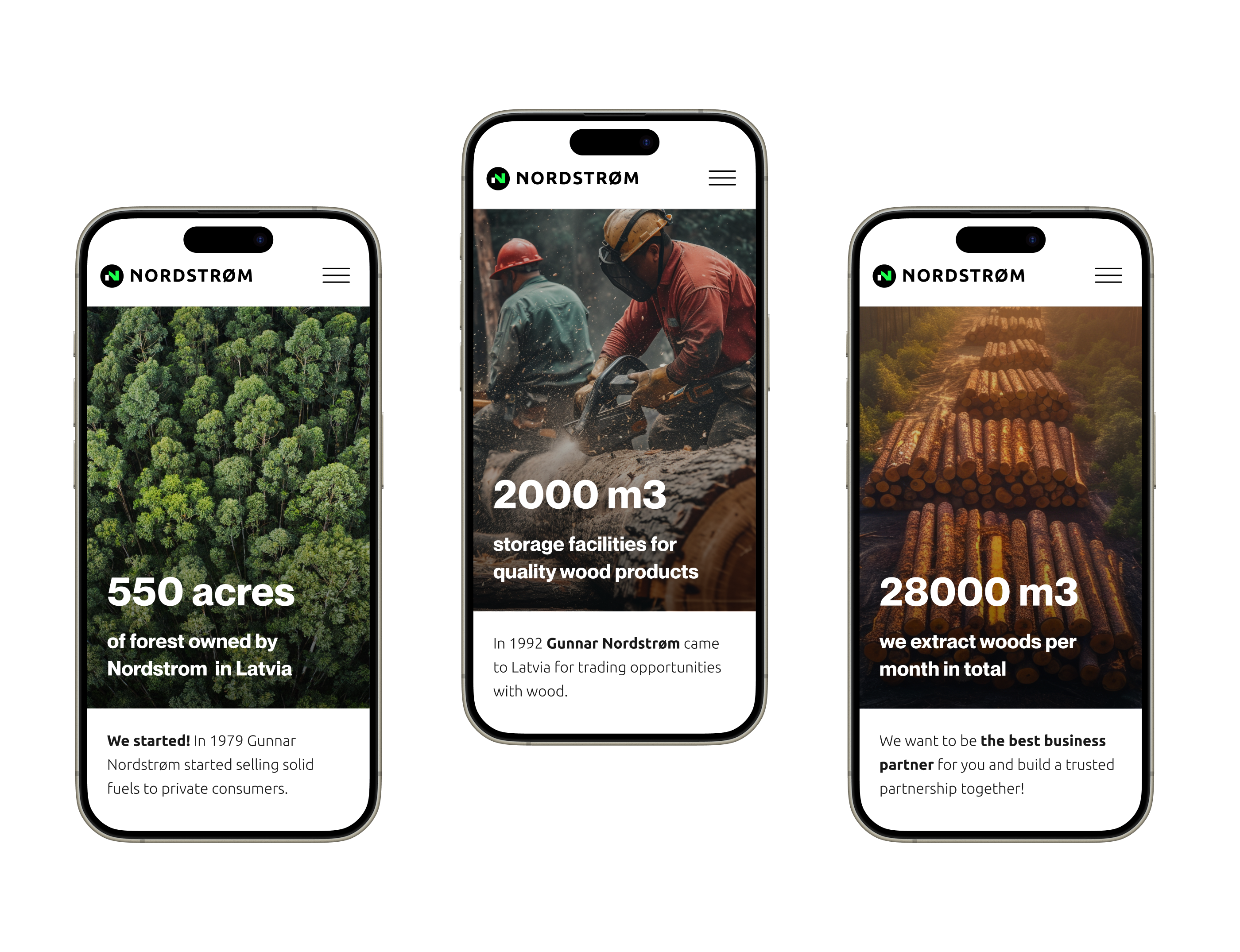 Логотип, брендинг и веб дизайн для B2B компании Nordstrom — Изображение №14 — Интерфейсы, Брендинг на Dprofile