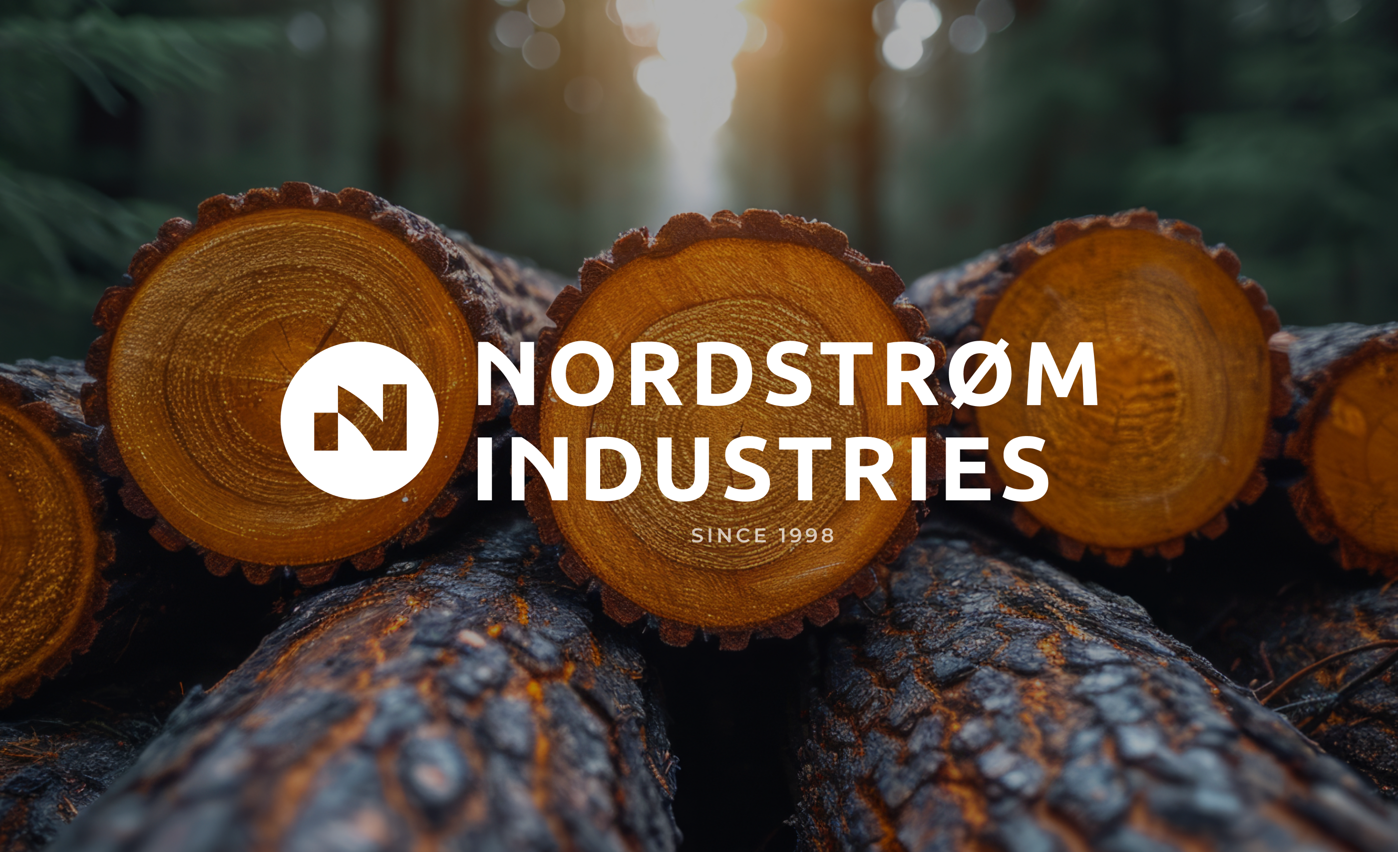 Логотип, брендинг и веб дизайн для B2B компании Nordstrom — Изображение №1 — Интерфейсы, Брендинг на Dprofile