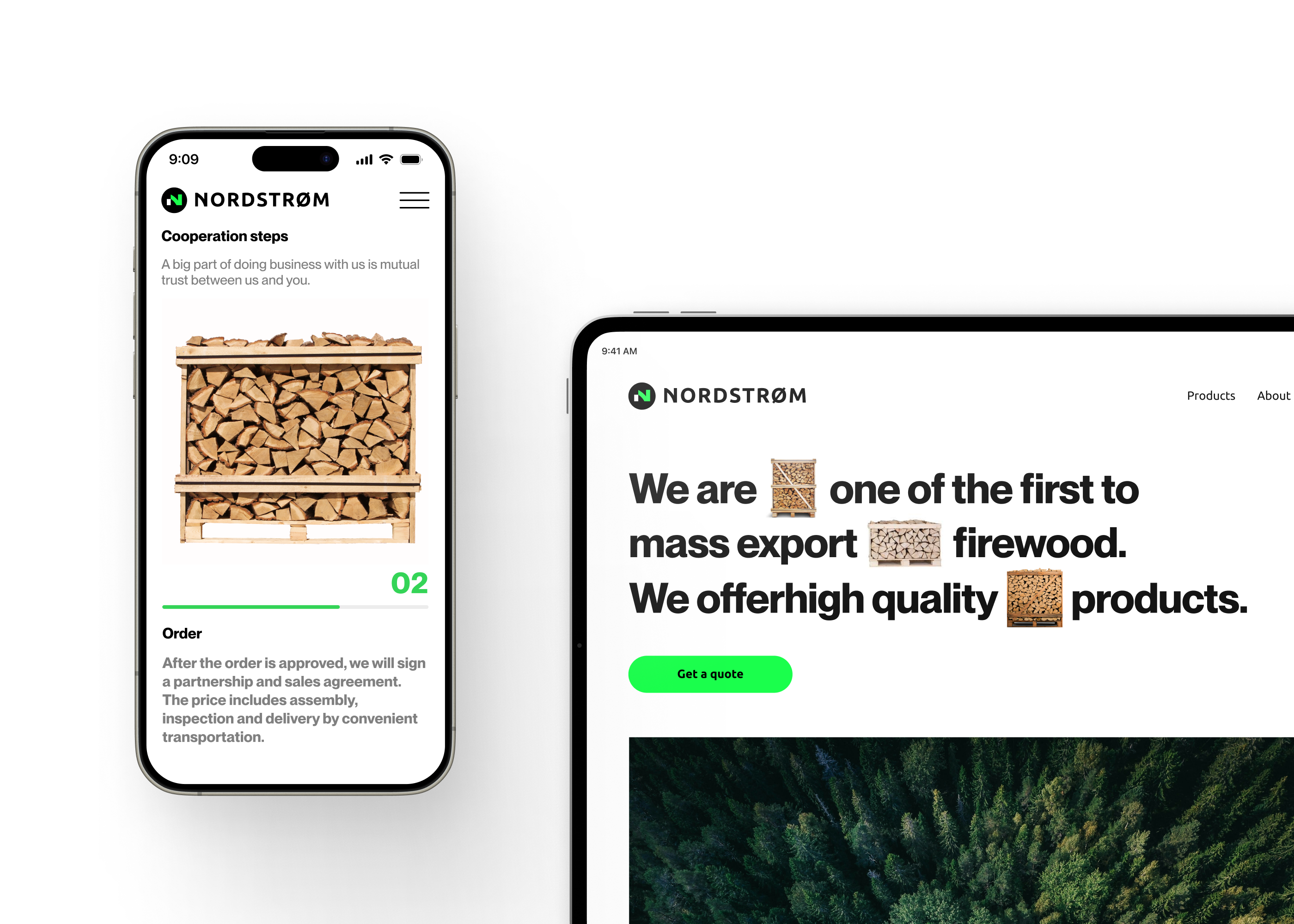 Логотип, брендинг и веб дизайн для B2B компании Nordstrom — Изображение №9 — Интерфейсы, Брендинг на Dprofile