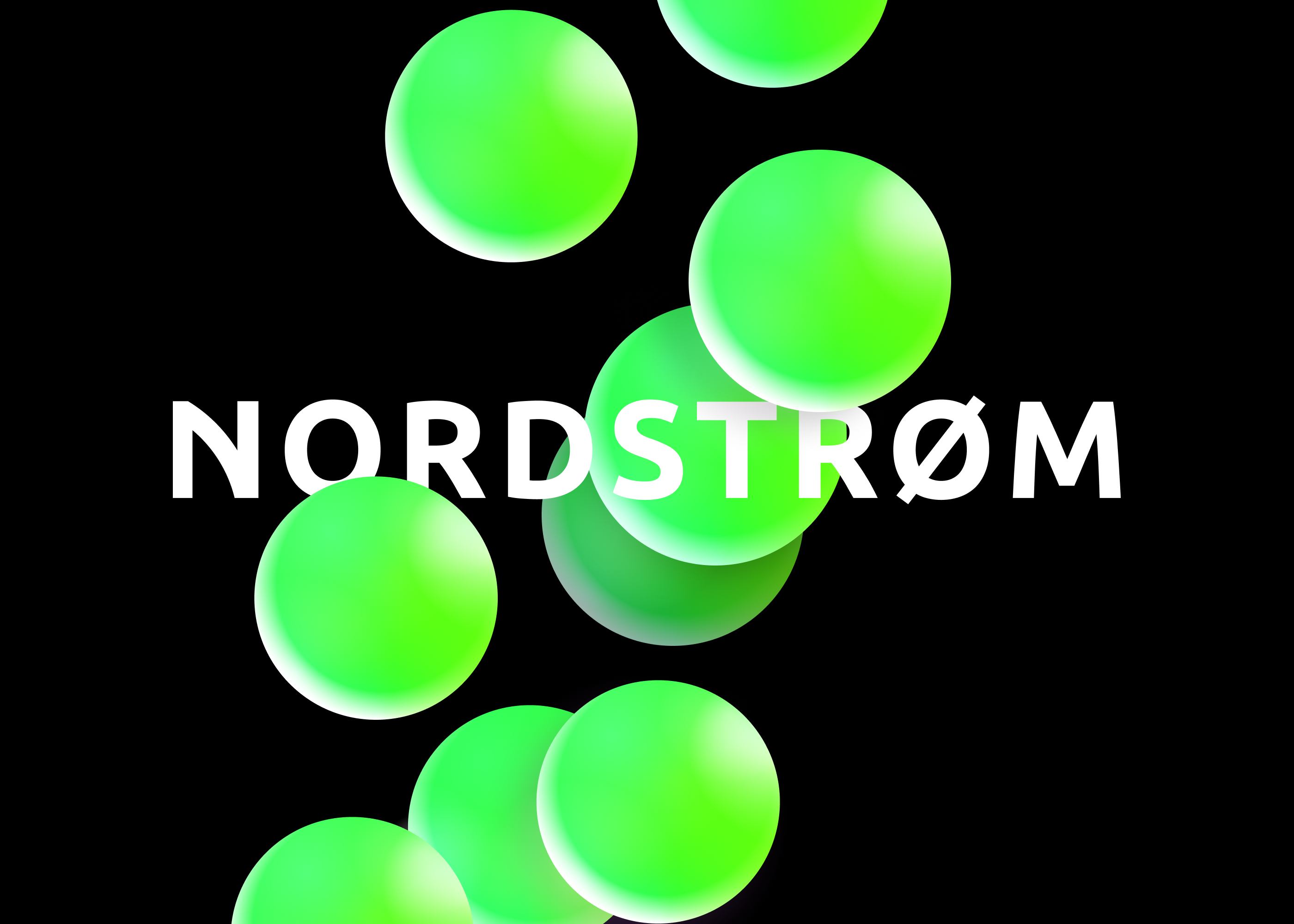 Логотип, брендинг и веб дизайн для B2B компании Nordstrom — Изображение №18 — Интерфейсы, Брендинг на Dprofile