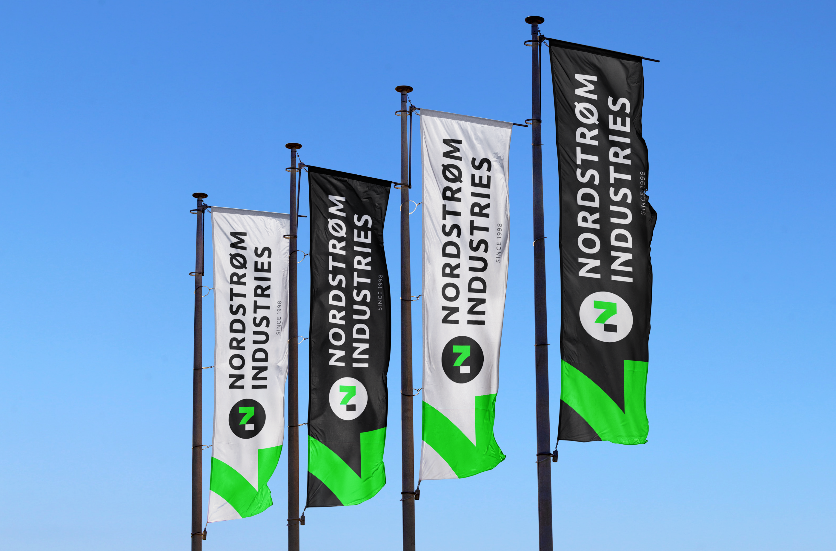 Логотип, брендинг и веб дизайн для B2B компании Nordstrom — Изображение №10 — Интерфейсы, Брендинг на Dprofile