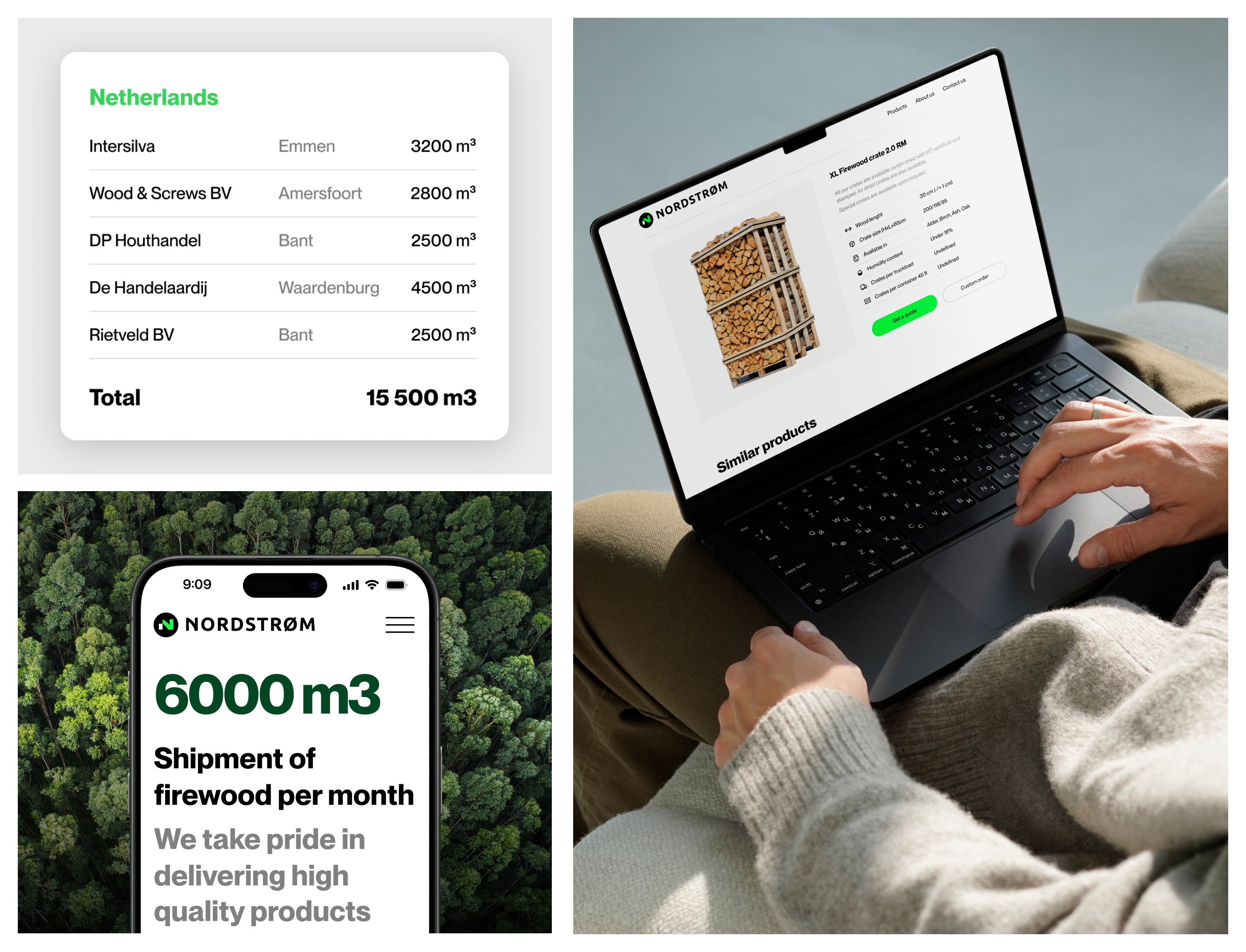 Логотип, брендинг и веб дизайн для B2B компании Nordstrom — Изображение №15 — Интерфейсы, Брендинг на Dprofile