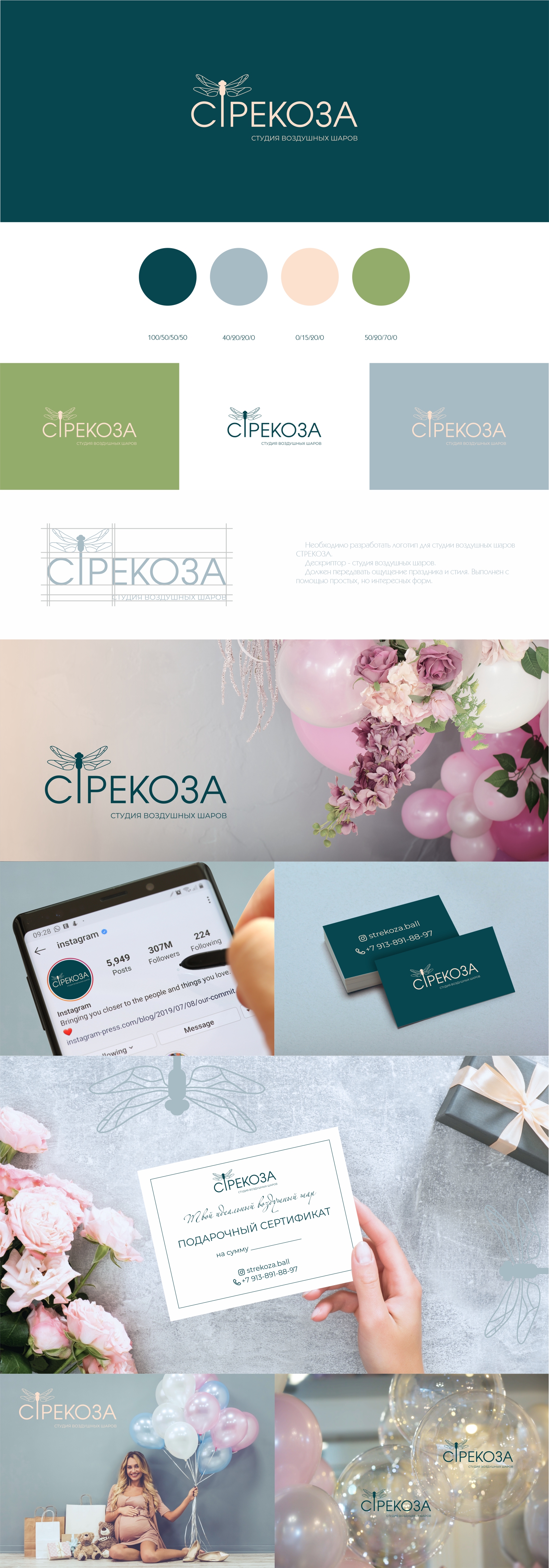 Стрекоза | студия воздушных шаровв — Изображение №1 — Брендинг на Dprofile