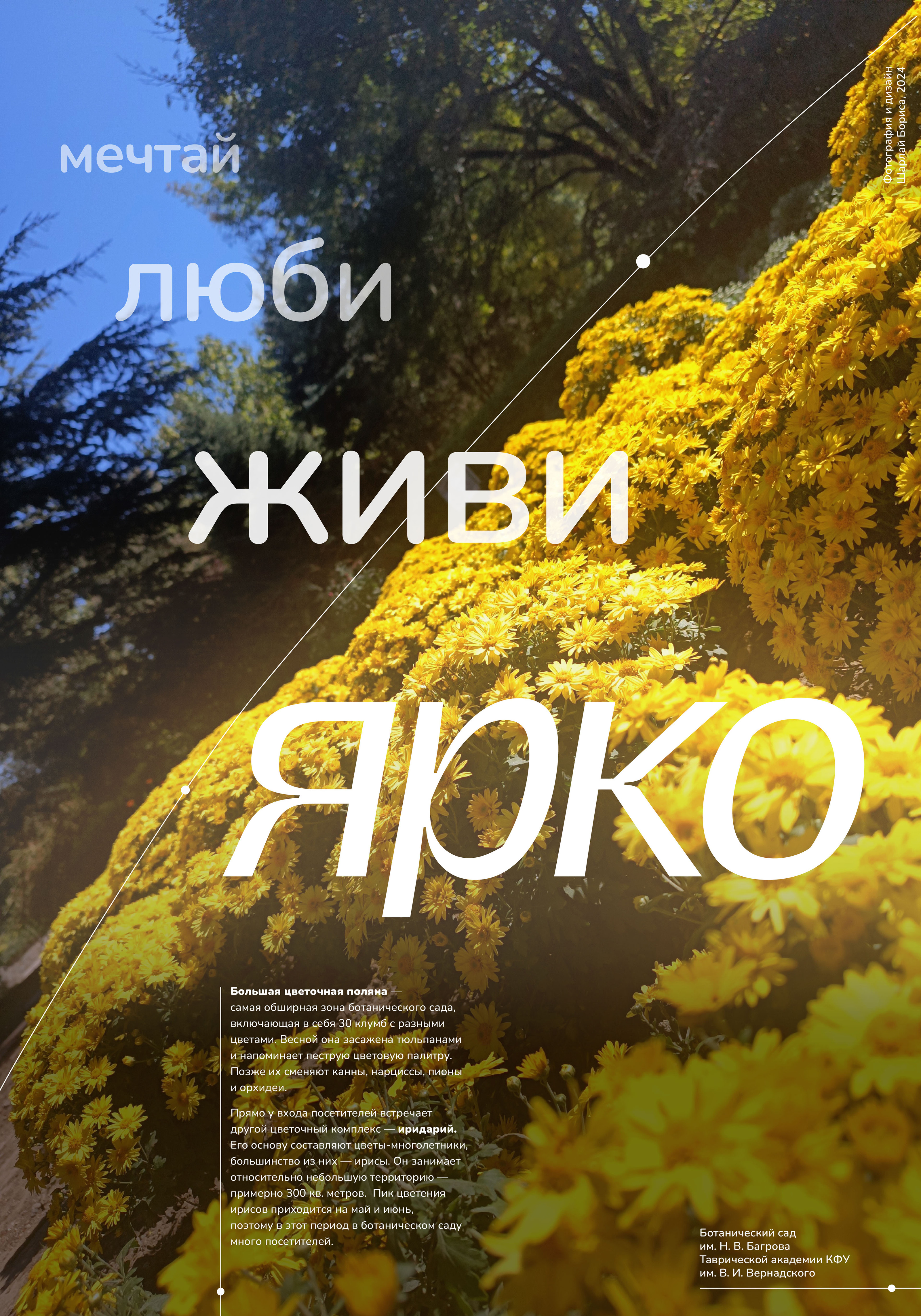Серия постеров для ботанического сада | Posters — Изображение №6 — Графика на Dprofile