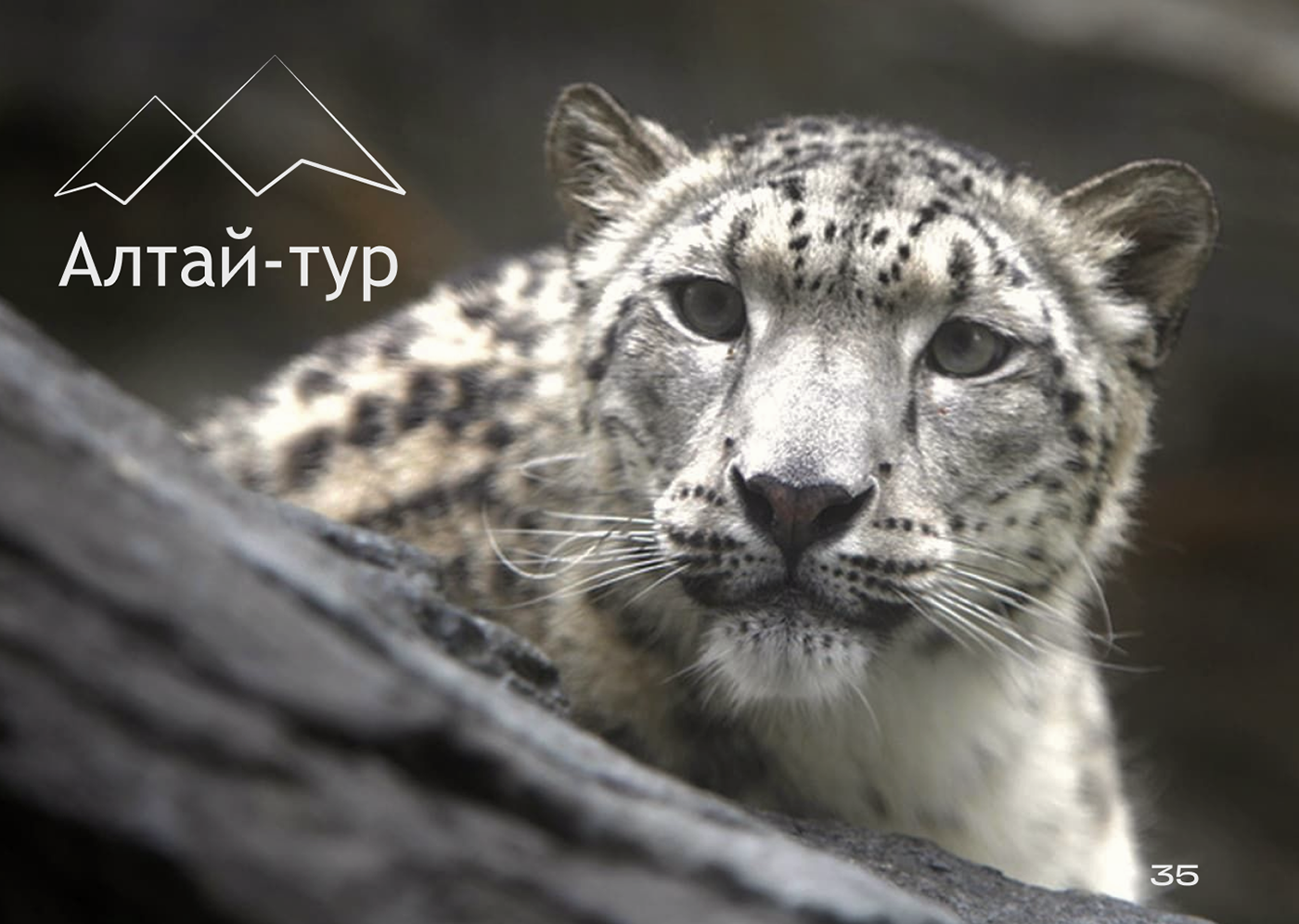 Брендбук туристической компании — Изображение №31 — Брендинг на Dprofile