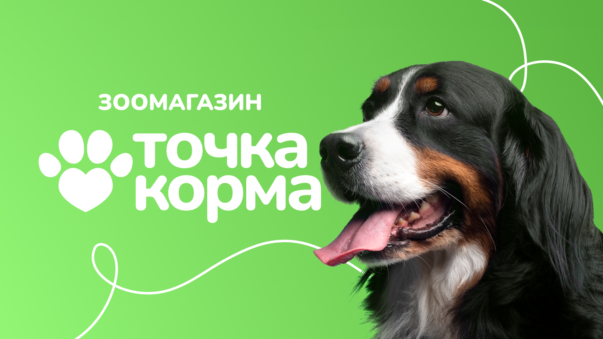 Зоомагазин | Ребрендинг | Фирменный стиль — Изображение №1 — Брендинг на Dprofile