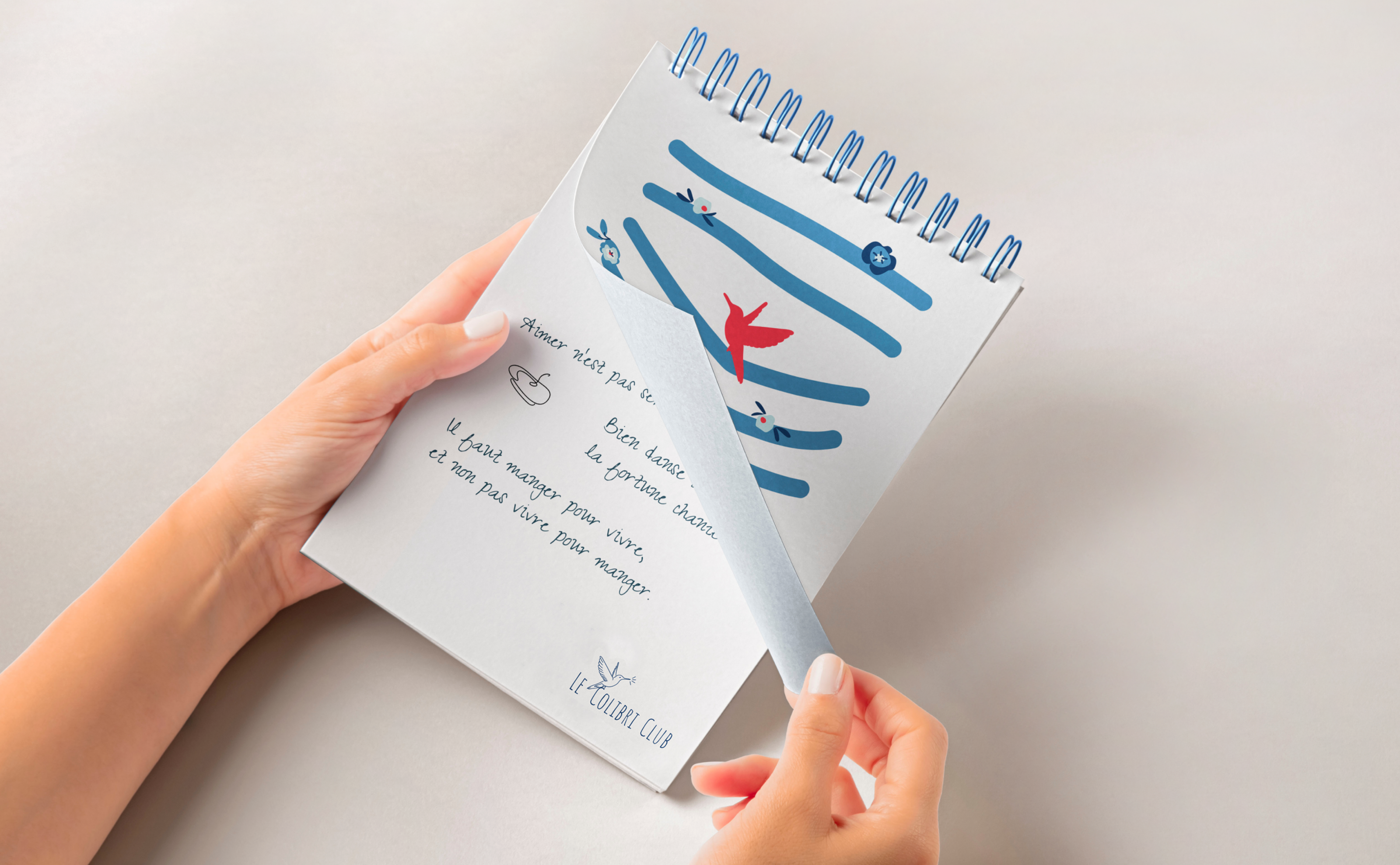 Le Colibri Club | French speaking club — Изображение №5 — Брендинг на Dprofile