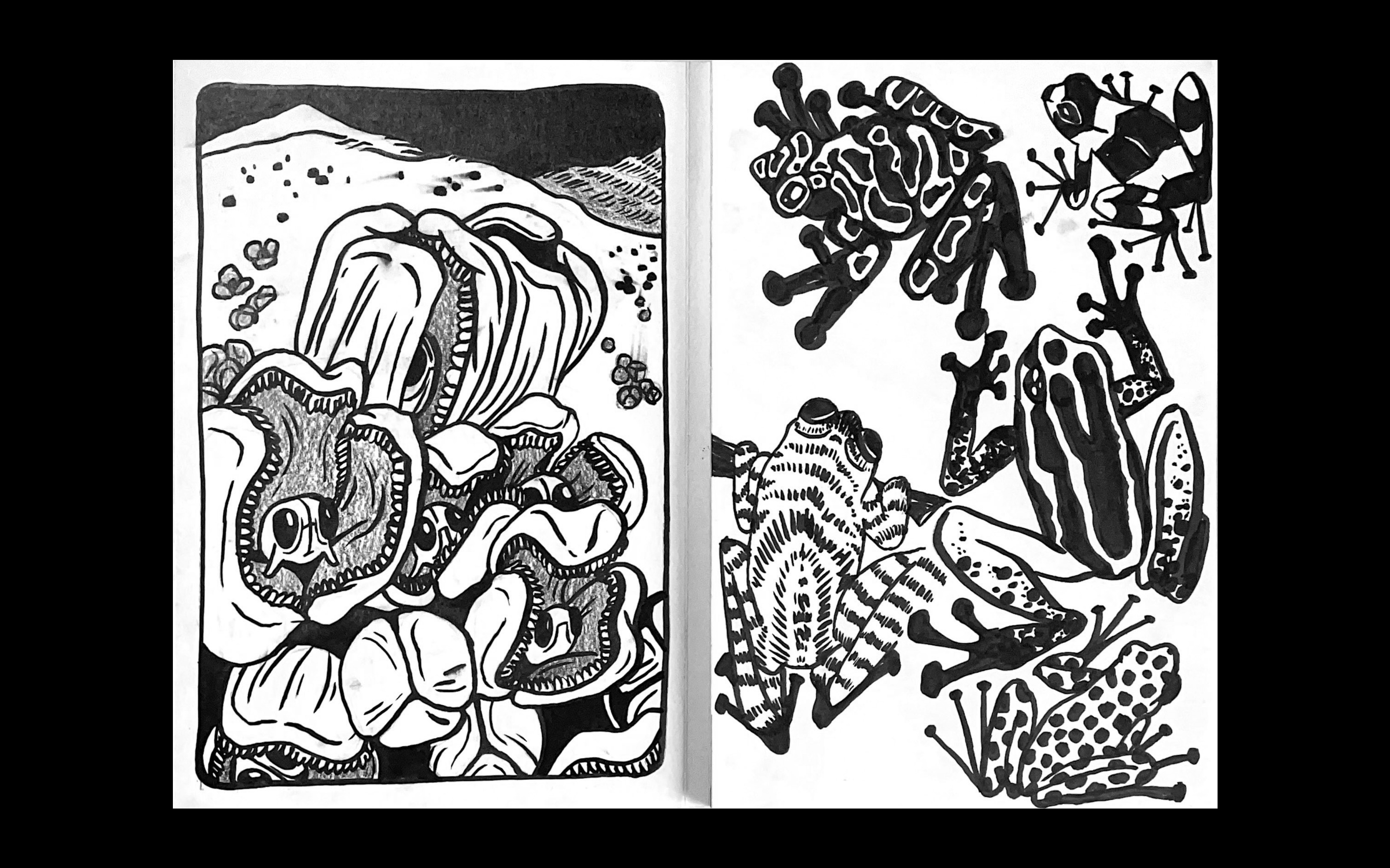 Лягушатник — Изображение №1 — Иллюстрация, Графика на Dprofile