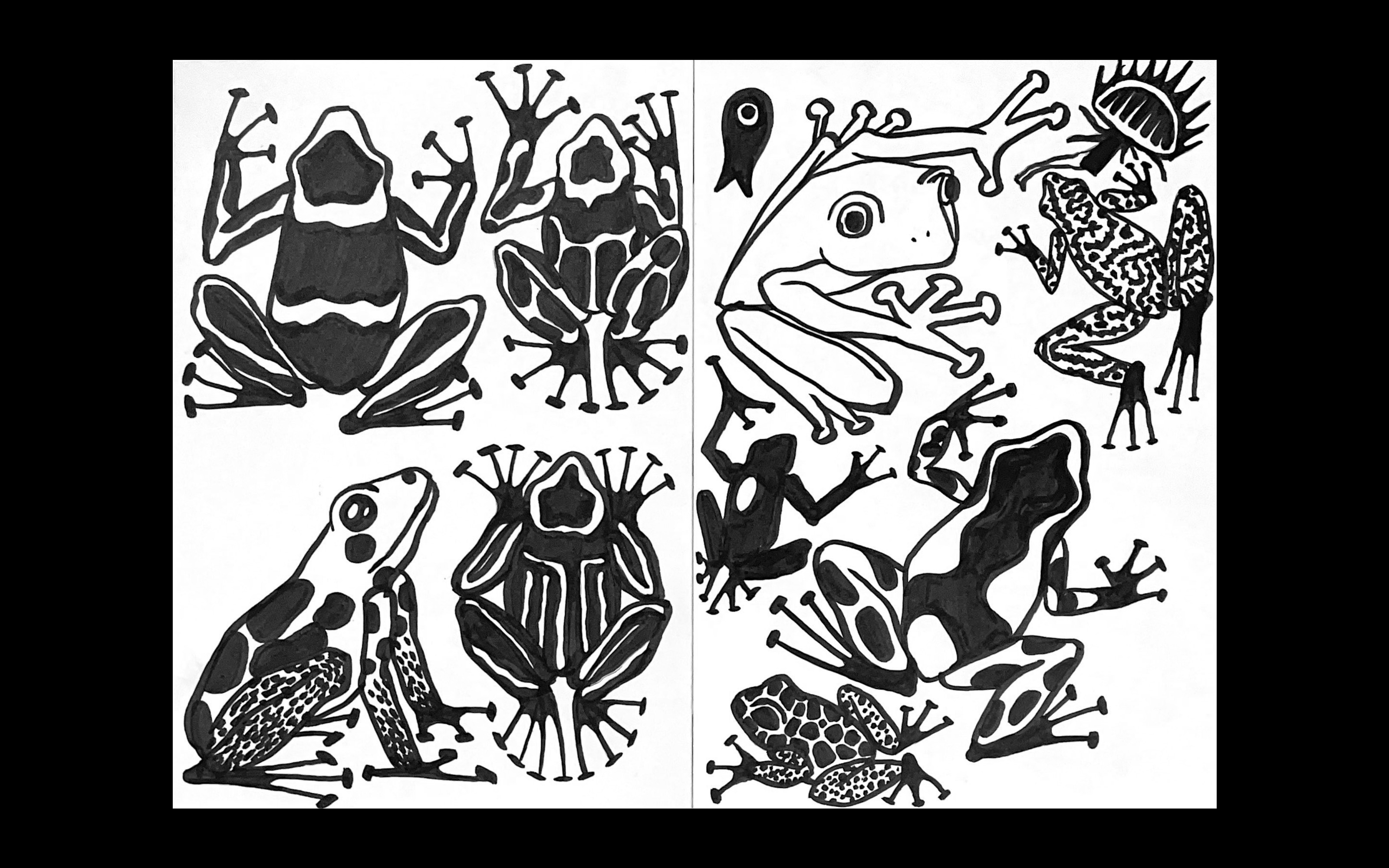 Лягушатник — Изображение №2 — Иллюстрация, Графика на Dprofile