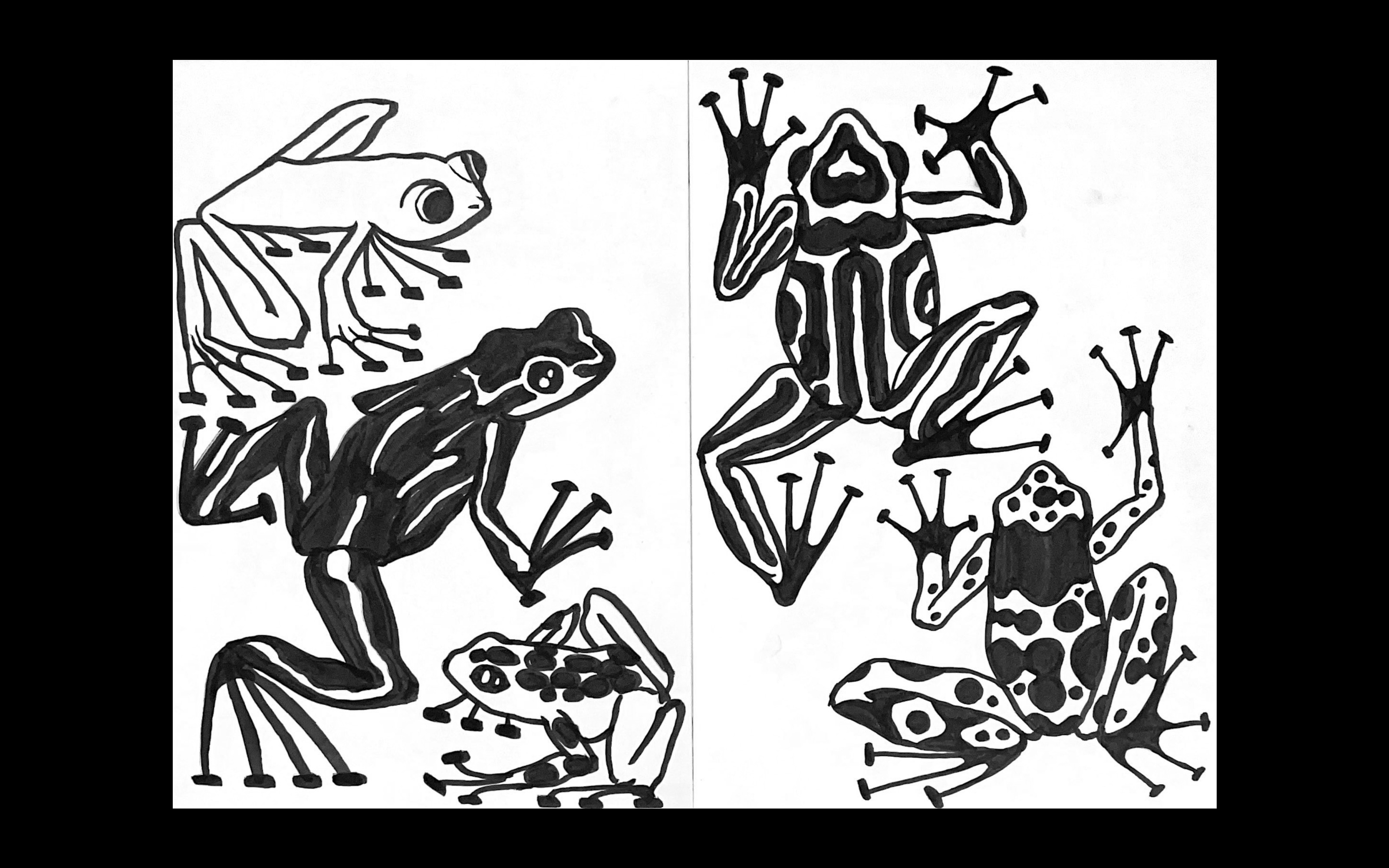 Лягушатник — Изображение №4 — Иллюстрация, Графика на Dprofile