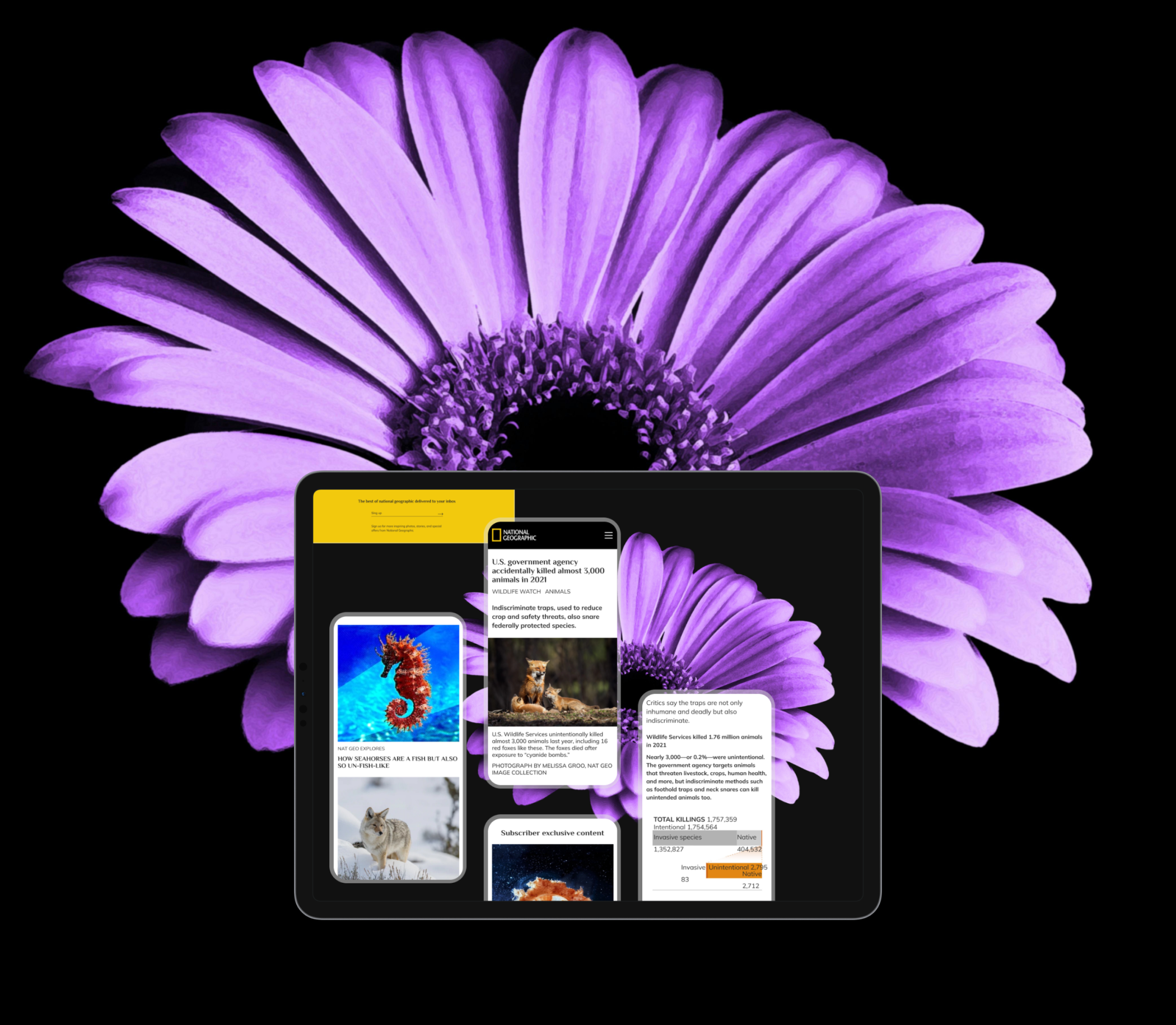 UX/UI designer portfolio — Изображение №5 — Интерфейсы, Брендинг на Dprofile