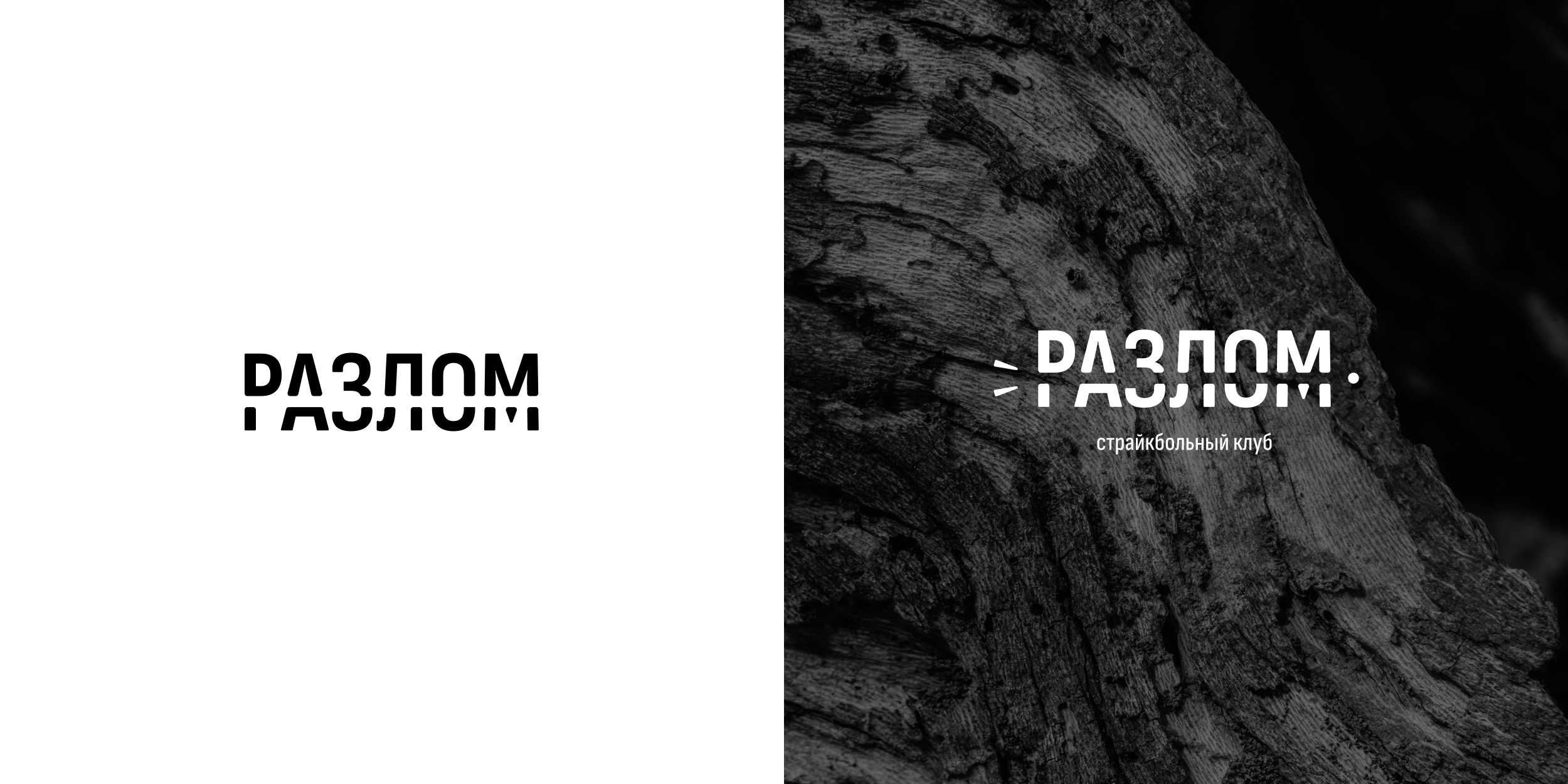 Логотип страйкбольного клуба — Изображение №5 — Брендинг на Dprofile