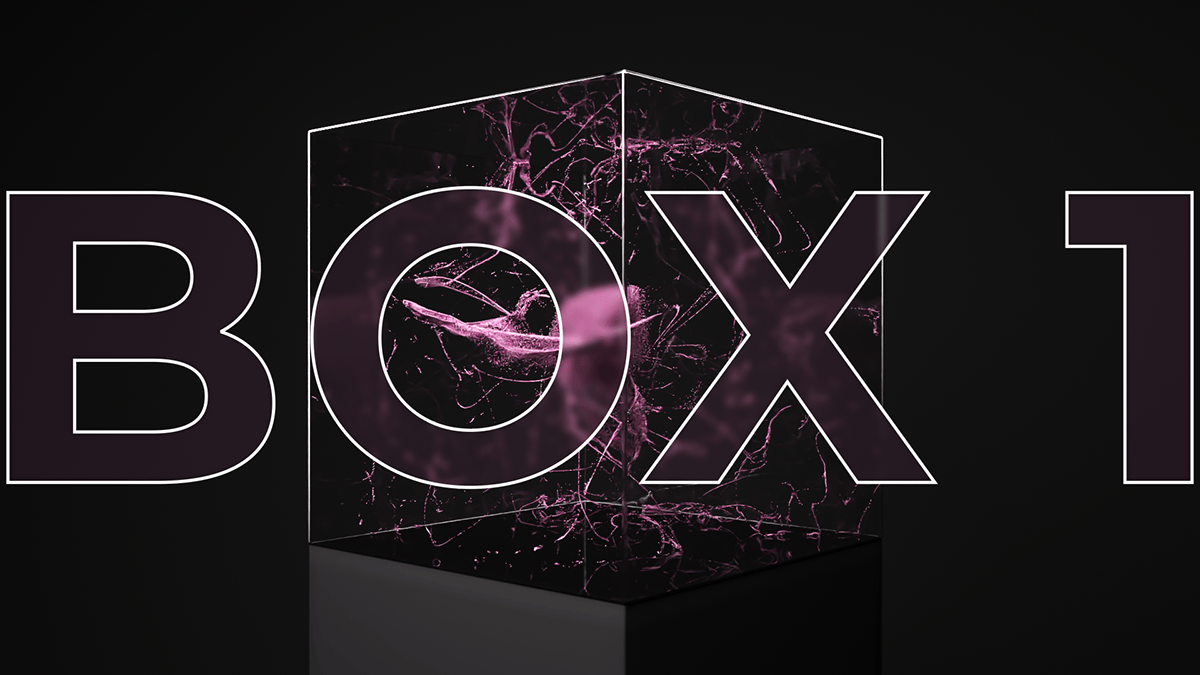 Beauty box — Изображение №1 — 3D, Анимация на Dprofile