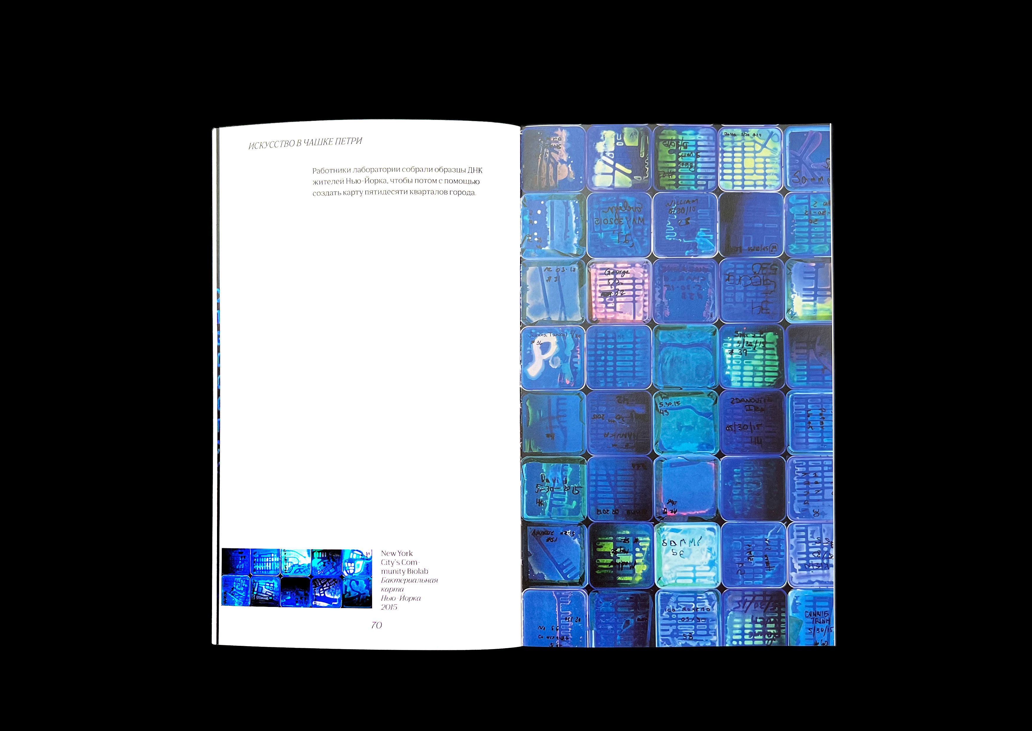 Bio-art. Visual research — Изображение №12 — Брендинг на Dprofile