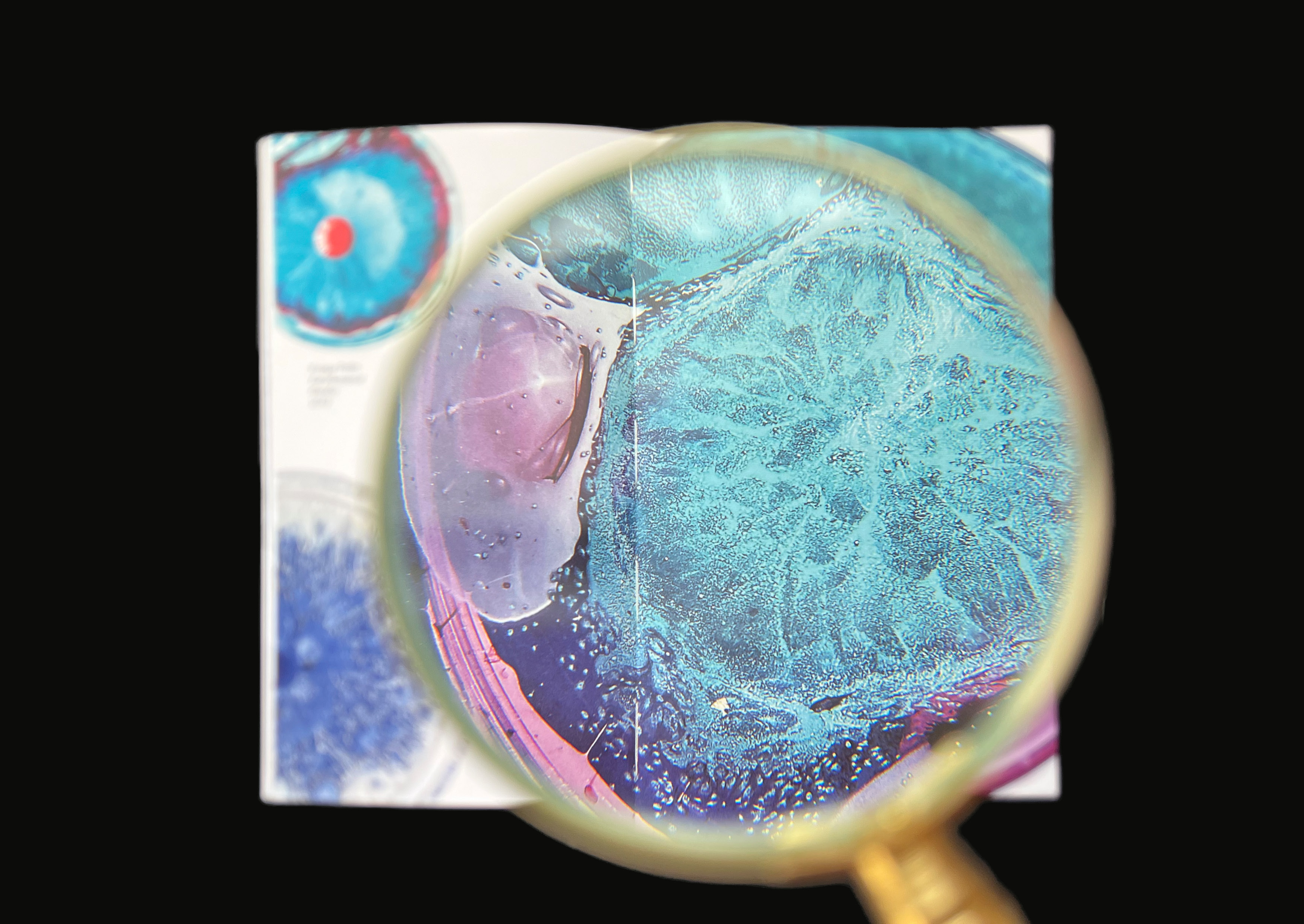 Bio-art. Visual research — Изображение №11 — Брендинг на Dprofile