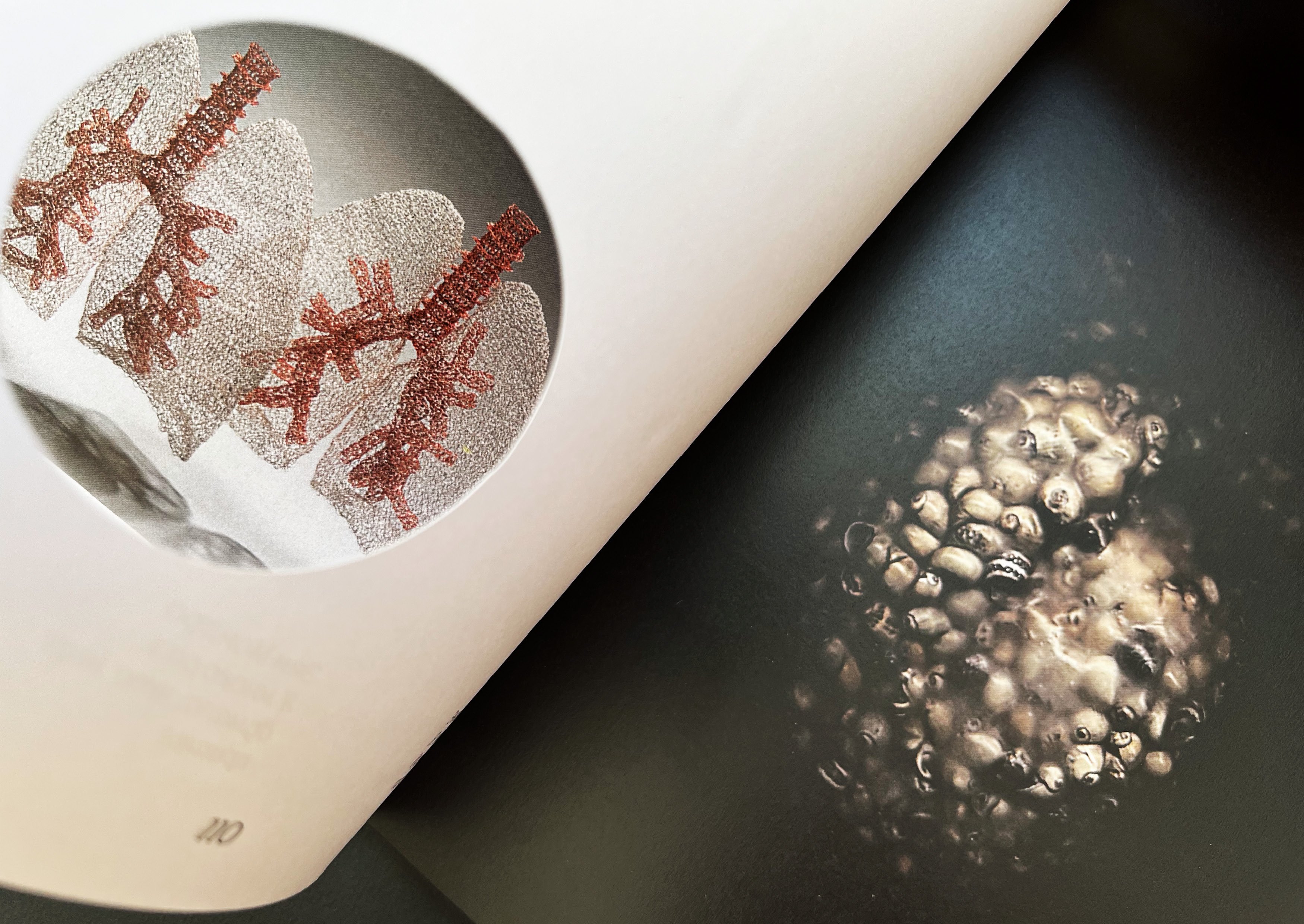 Bio-art. Visual research — Изображение №16 — Брендинг на Dprofile