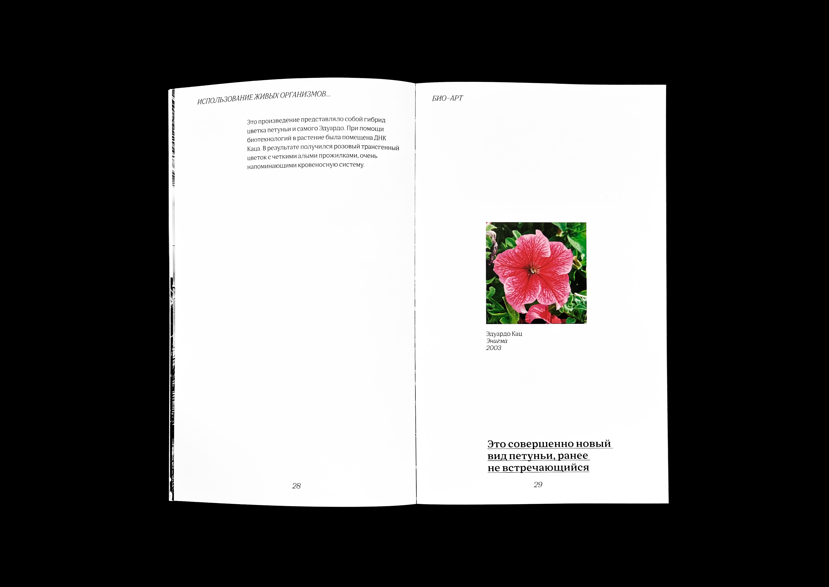 Bio-art. Visual research — Изображение №6 — Брендинг на Dprofile
