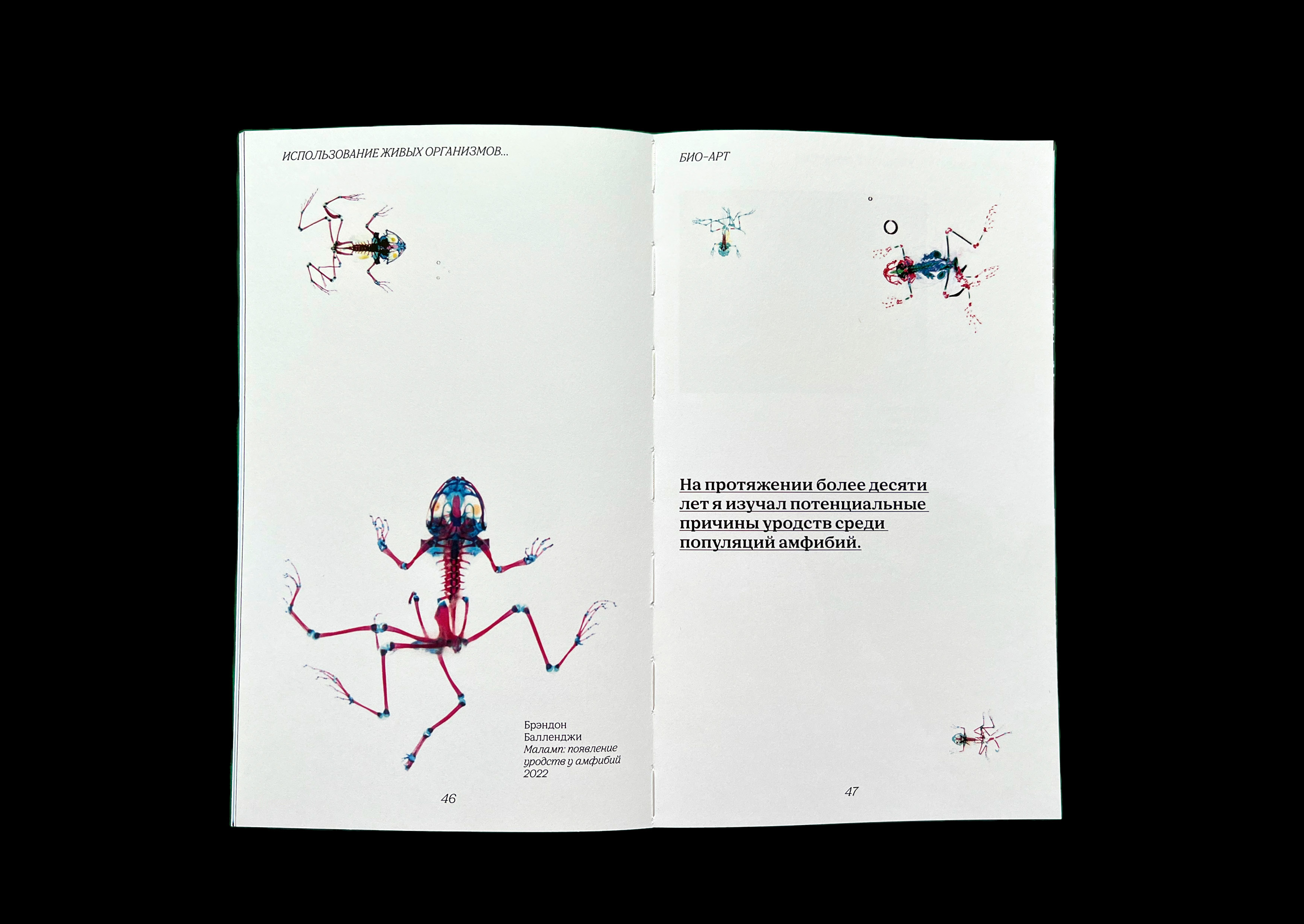Bio-art. Visual research — Изображение №9 — Брендинг на Dprofile