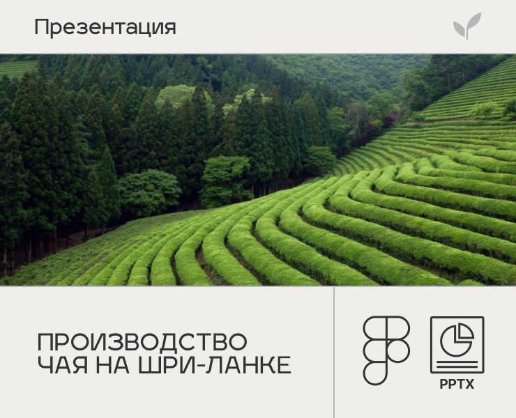 Презентация об индустрии чая на Шри-Ланке. на Dprofile