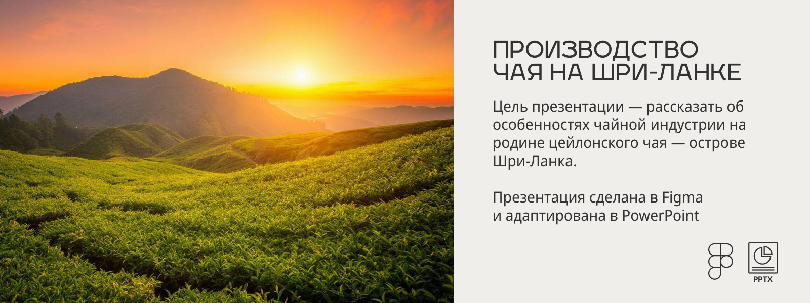 Презентация об индустрии чая на Шри-Ланке. — Изображение №1 — Графика, Маркетинг на Dprofile