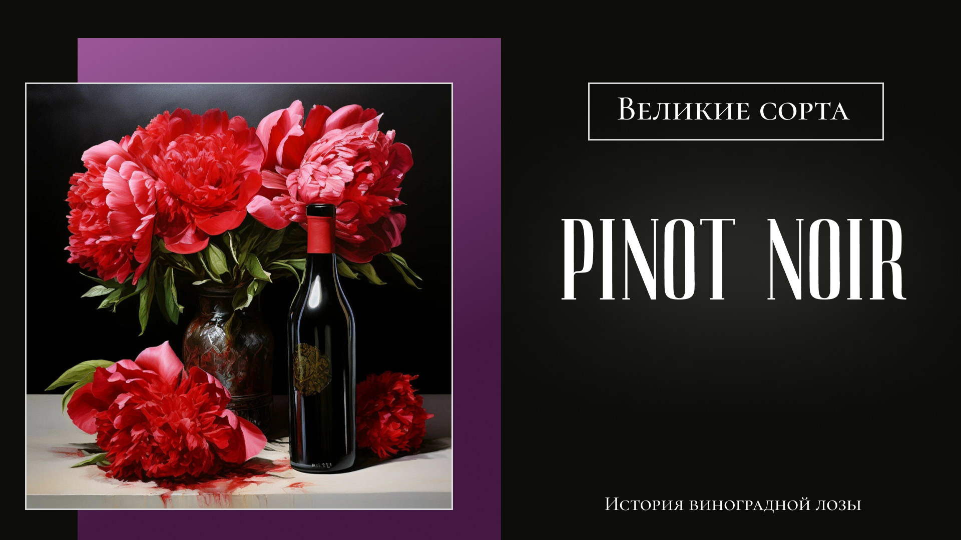 Презентация о сорте винограда Pinot Noir — Изображение №2 — Графика, Маркетинг на Dprofile