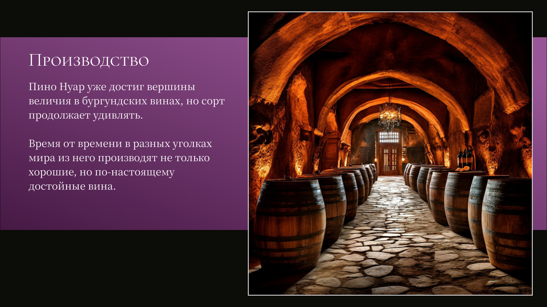 Презентация о сорте винограда Pinot Noir — Изображение №7 — Графика, Маркетинг на Dprofile