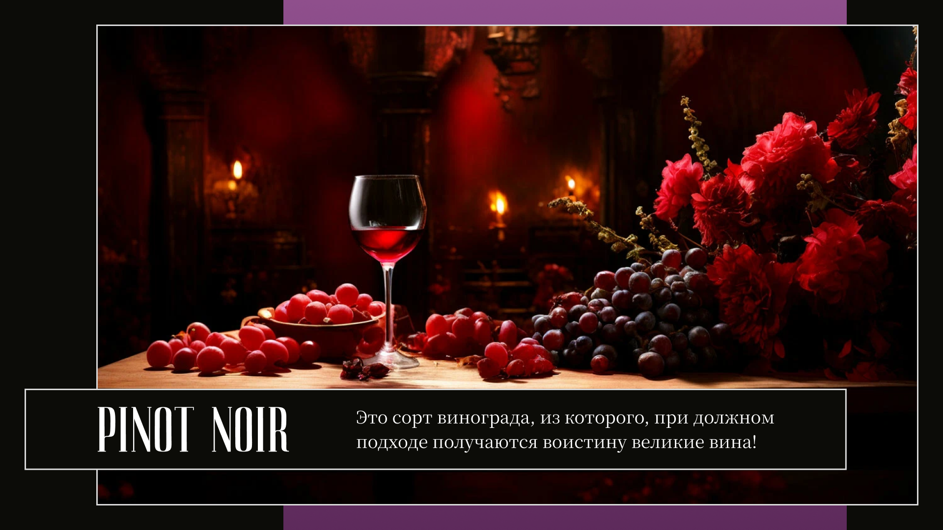 Презентация о сорте винограда Pinot Noir — Изображение №8 — Графика, Маркетинг на Dprofile